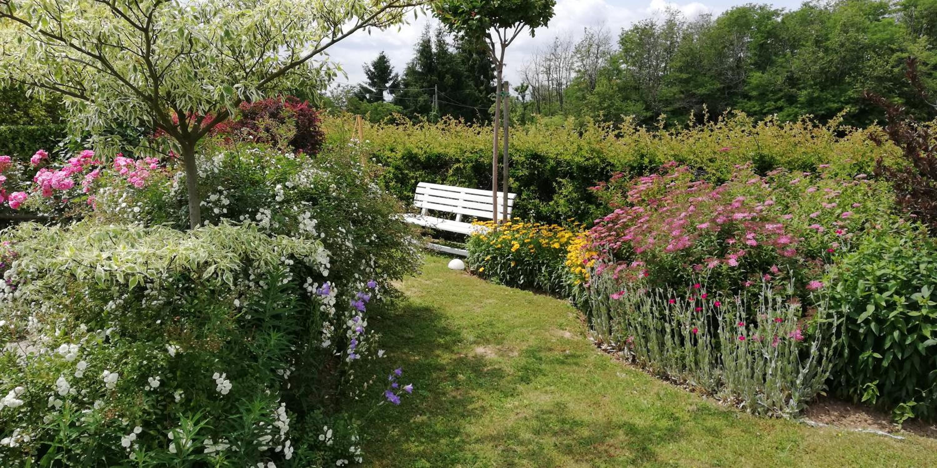 La Collina since 2008 NO SMOKING B&B