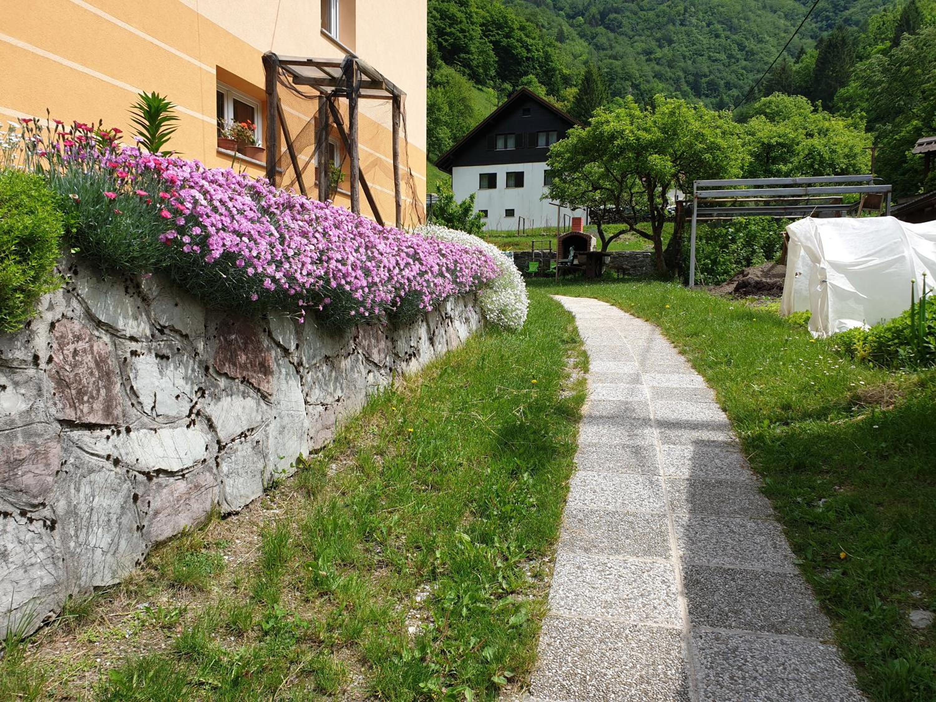Photo 40