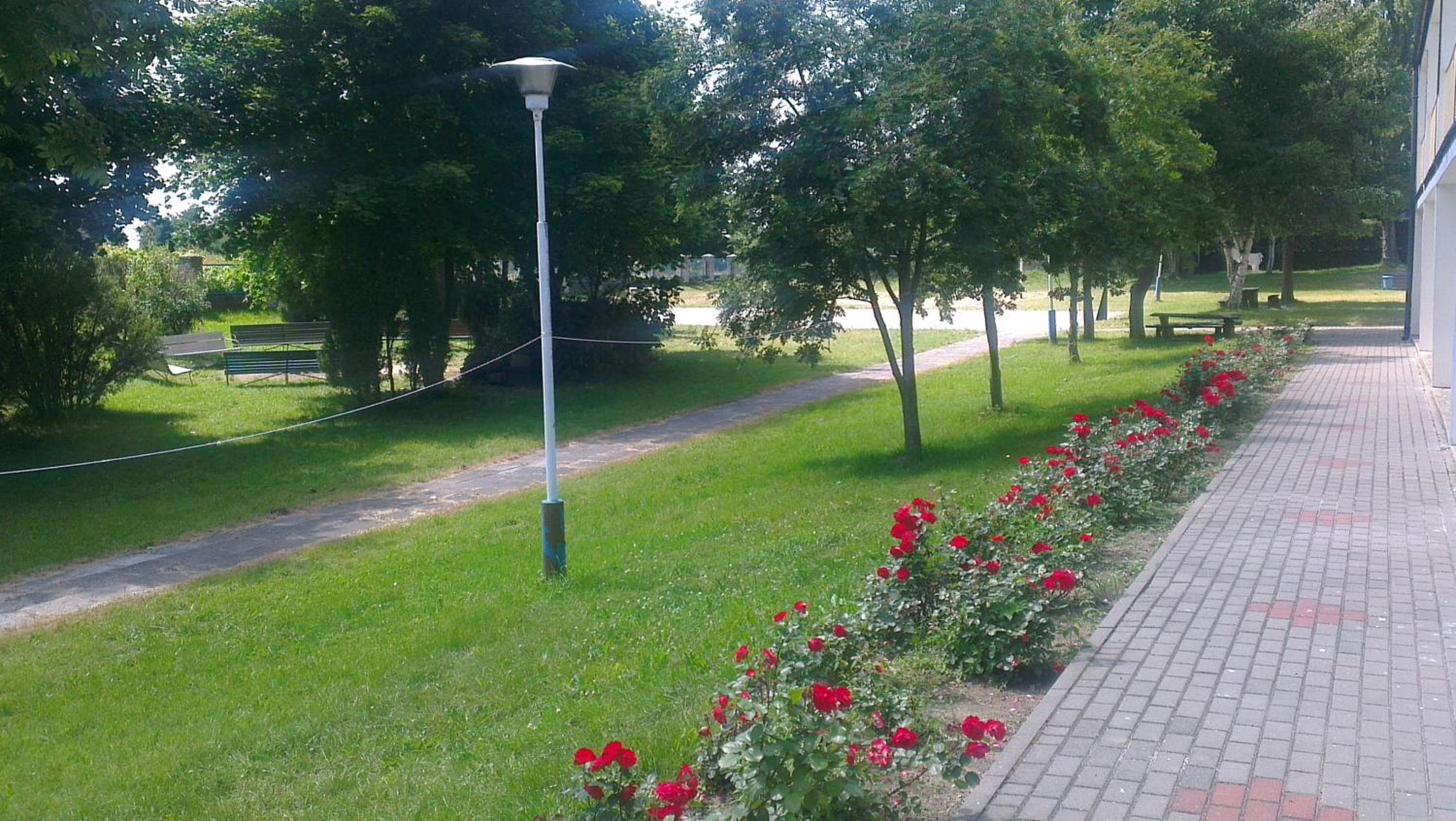 Photo 11