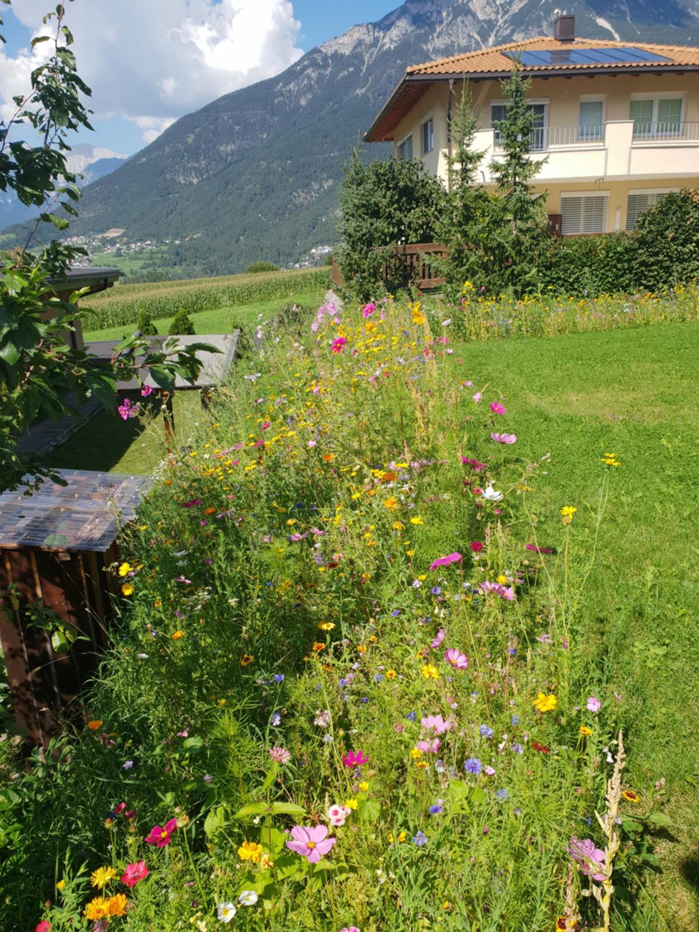 Wald Chalet
