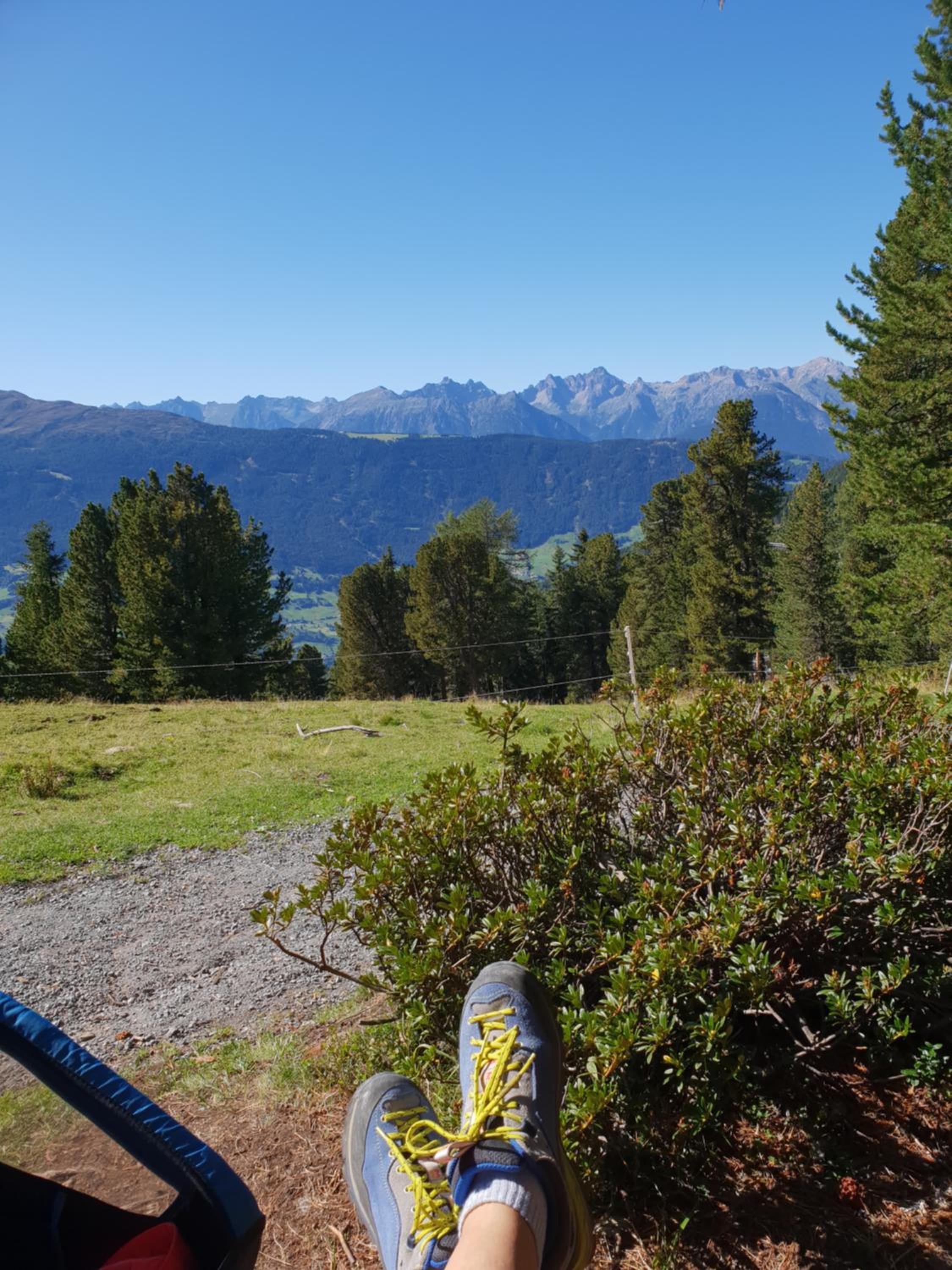 Wald Chalet