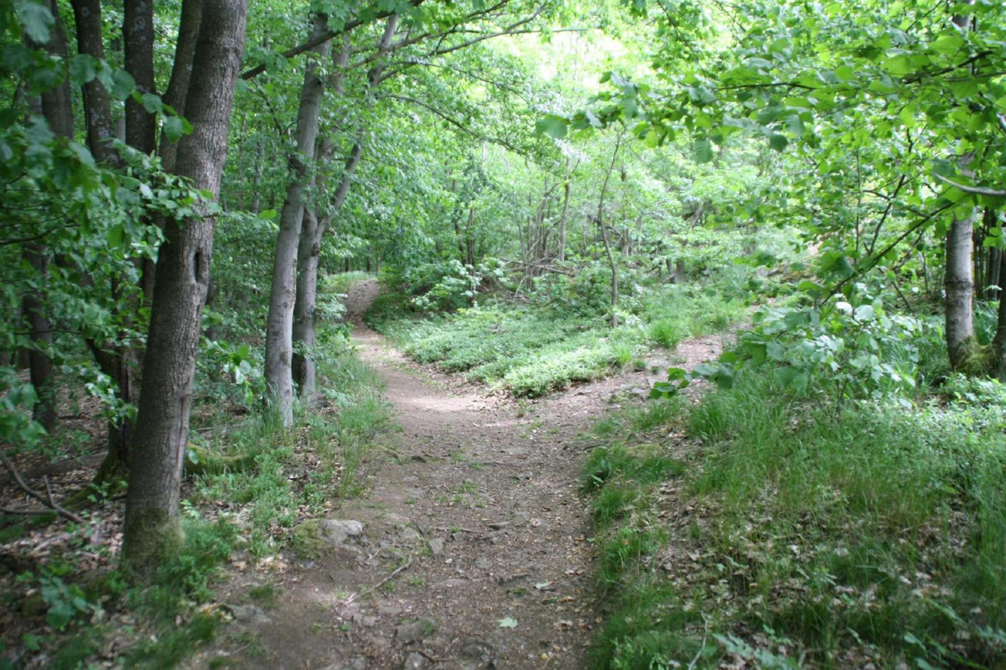 Photo 21