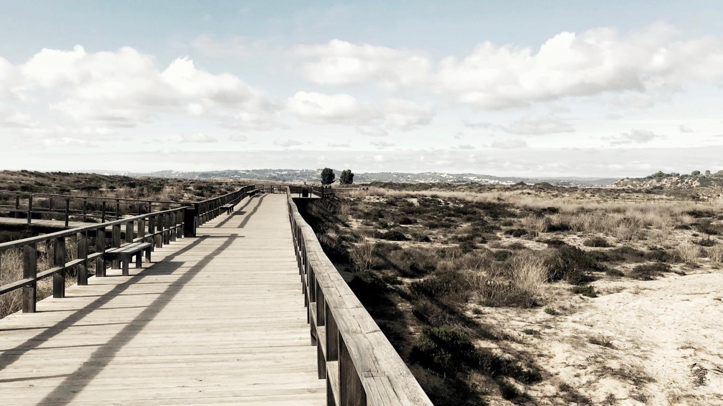 Casasuul Alvor view 4