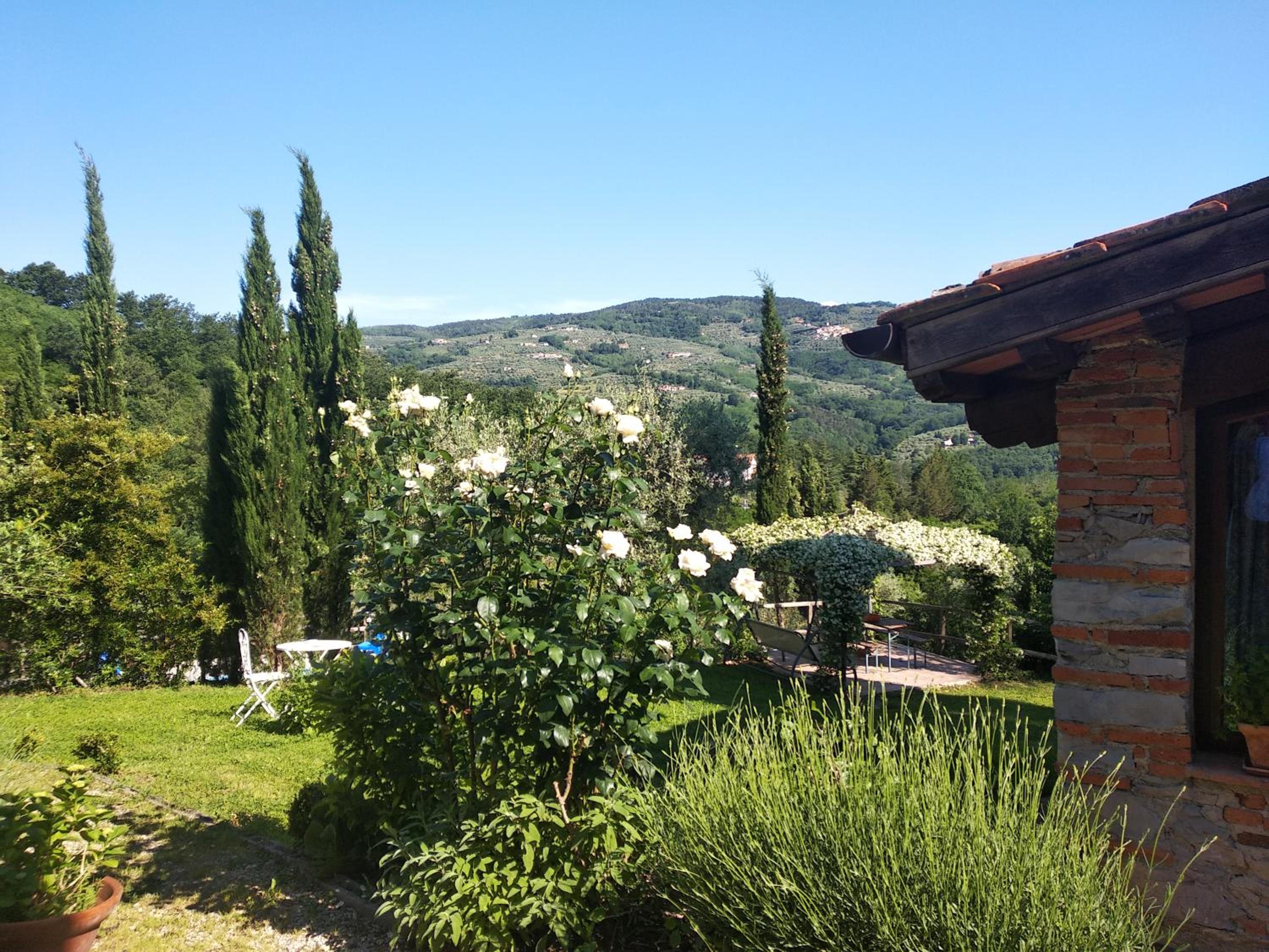Photo 42