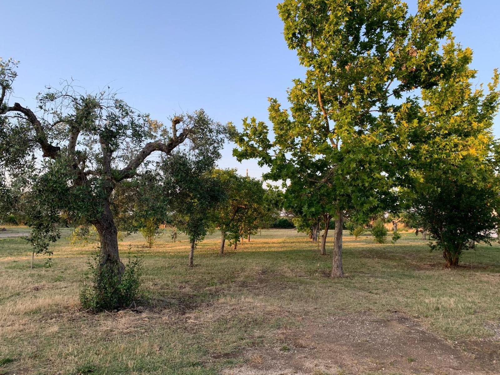 Masseria Montedoro view 5