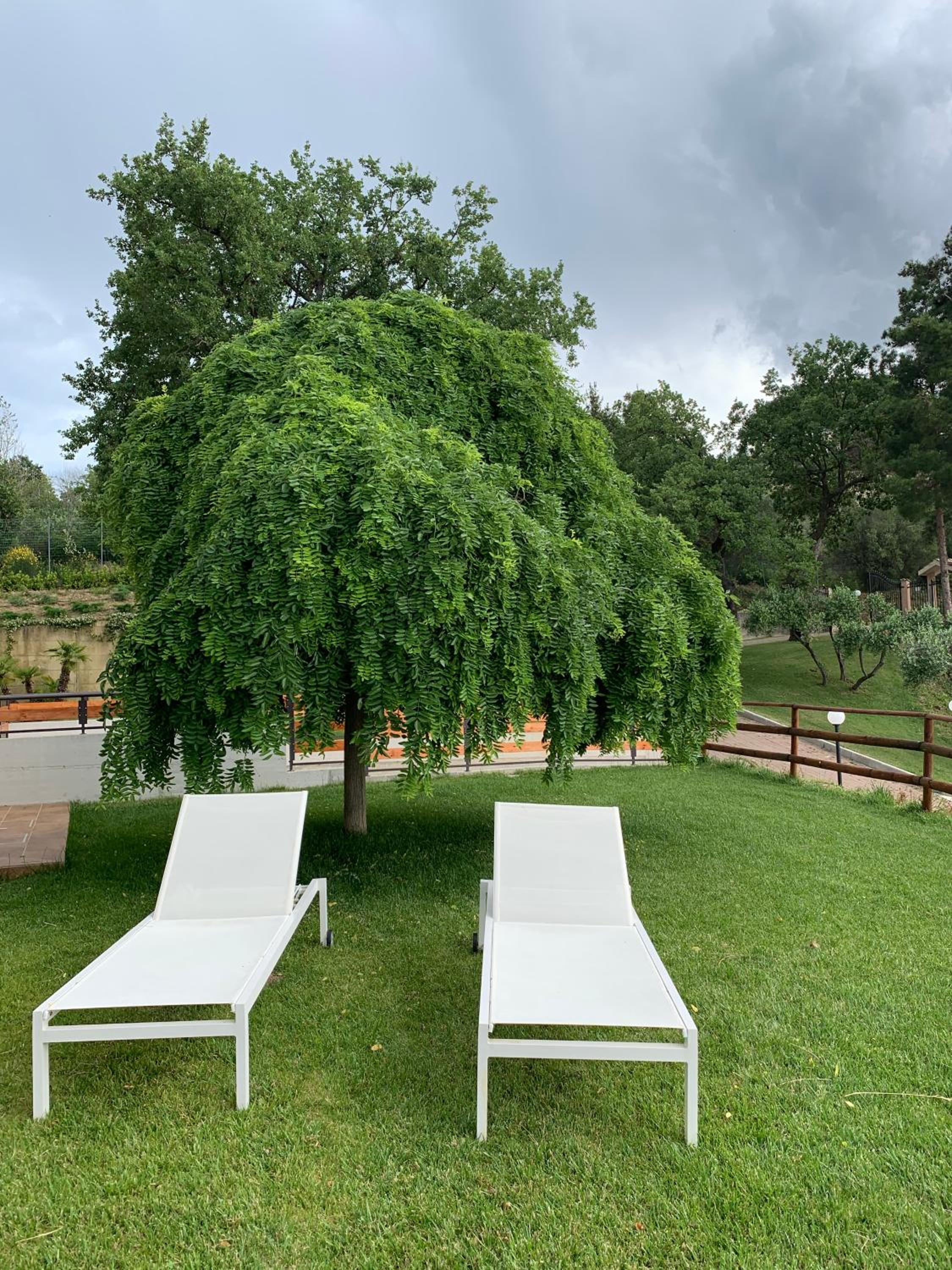 Agriturismo Tenuta Villa Catena view 5