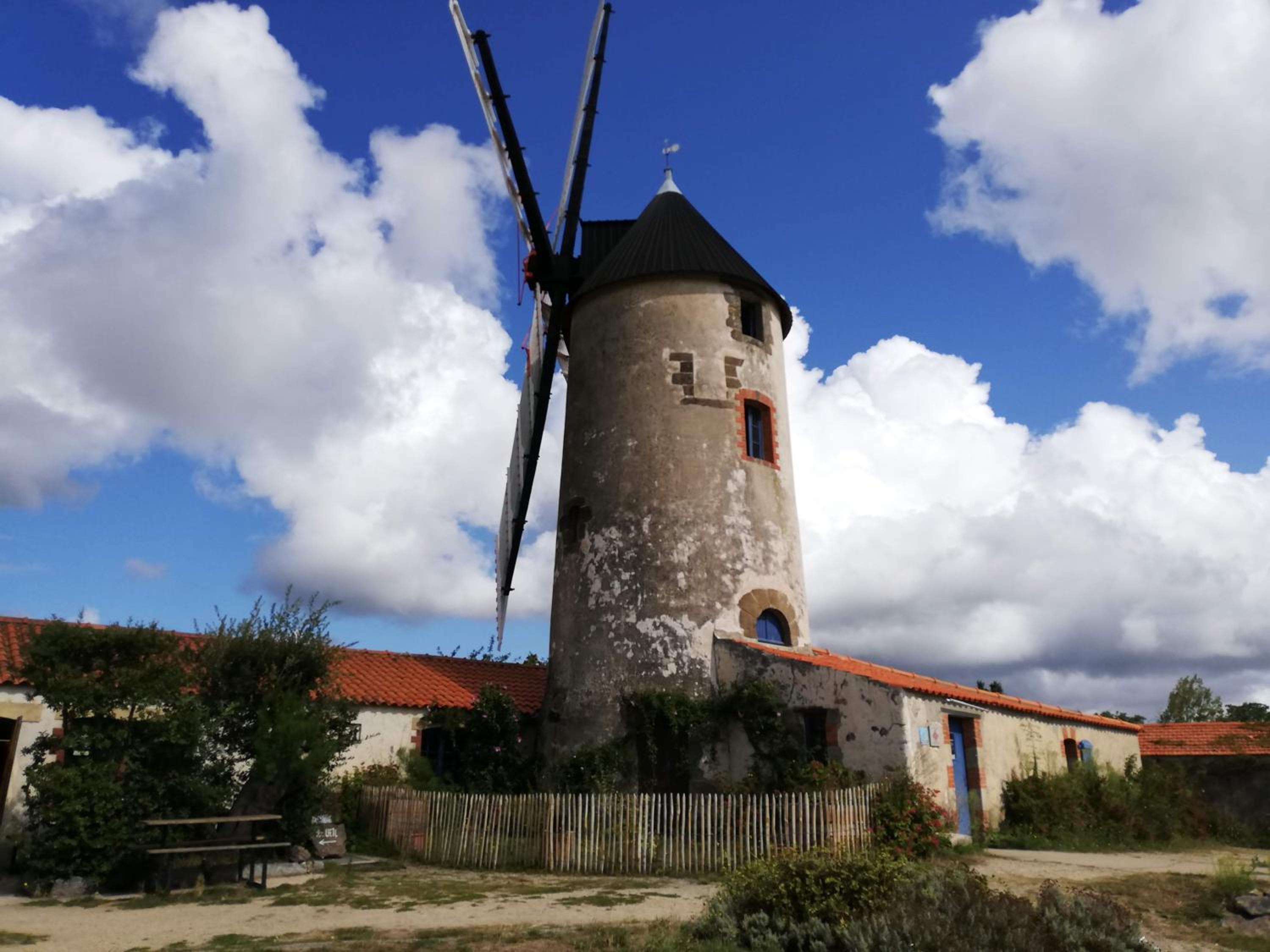 Photo 41