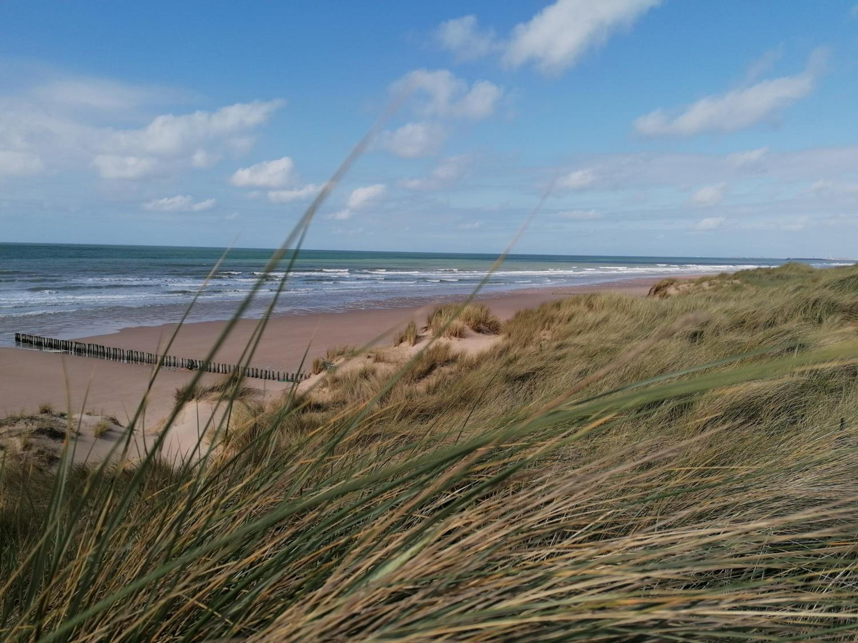 Chambre Studio Les Deux Vagues view 5
