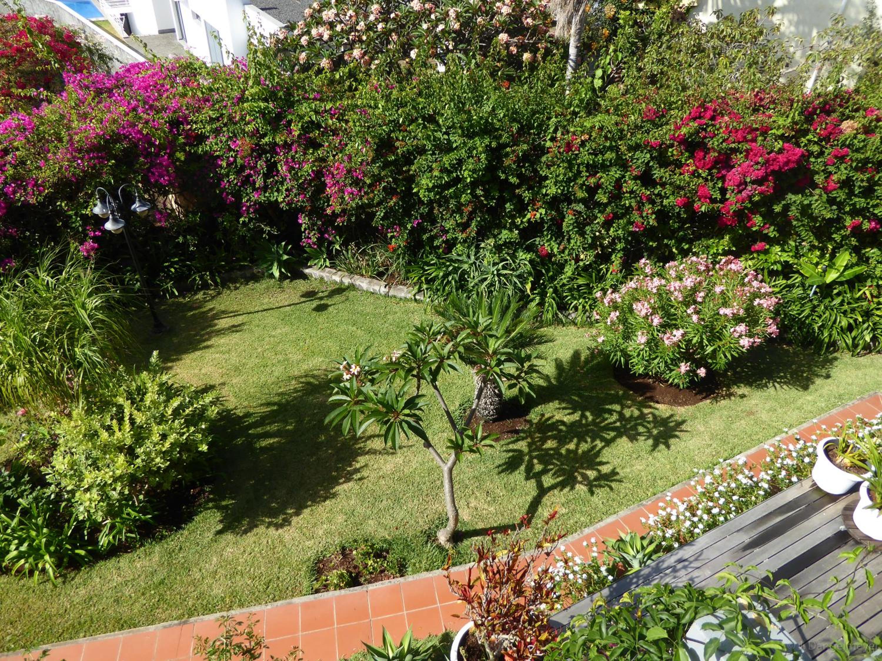 Photo 31
