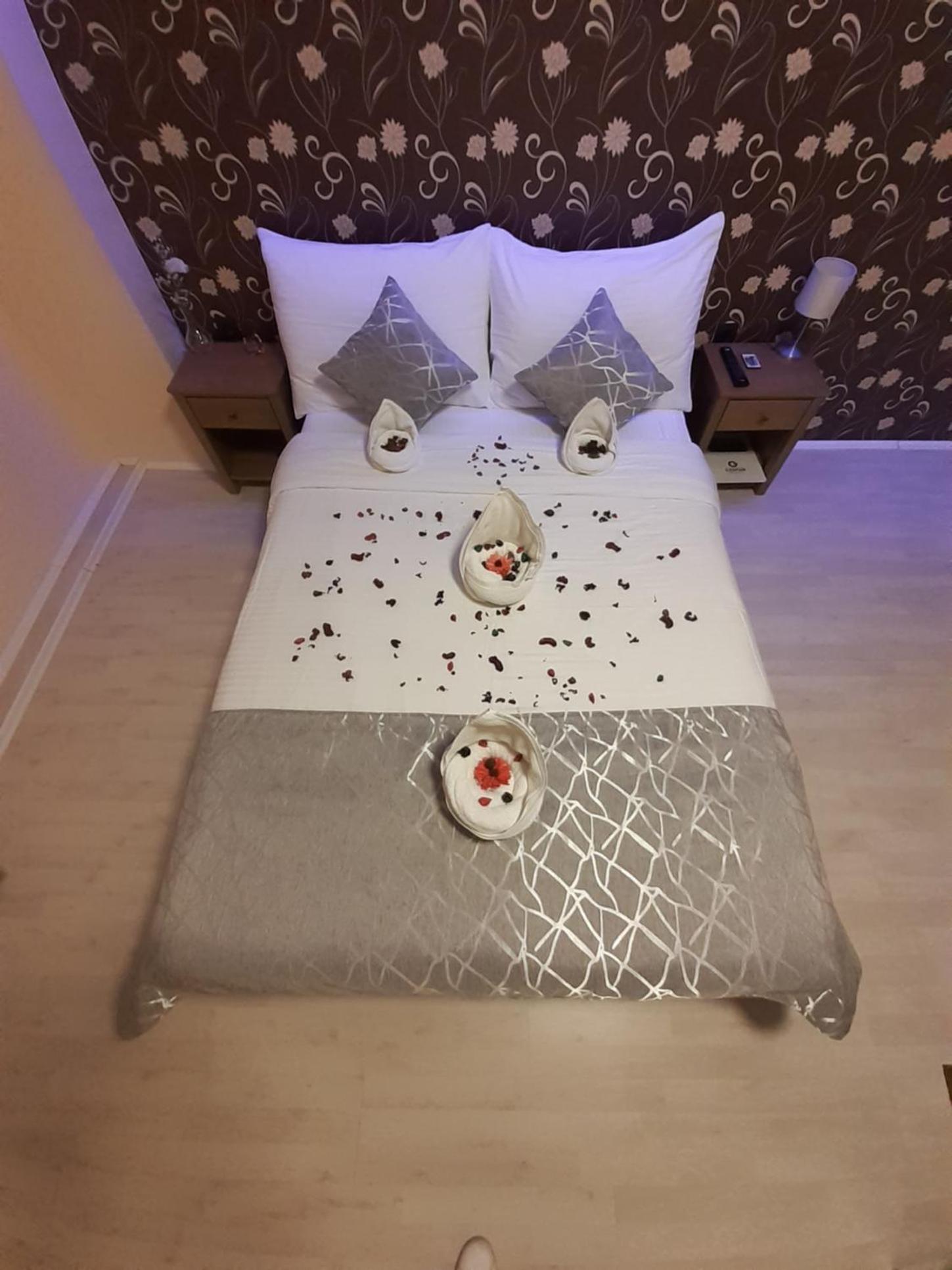 Apartmani CENTAR- Smederevo view 3