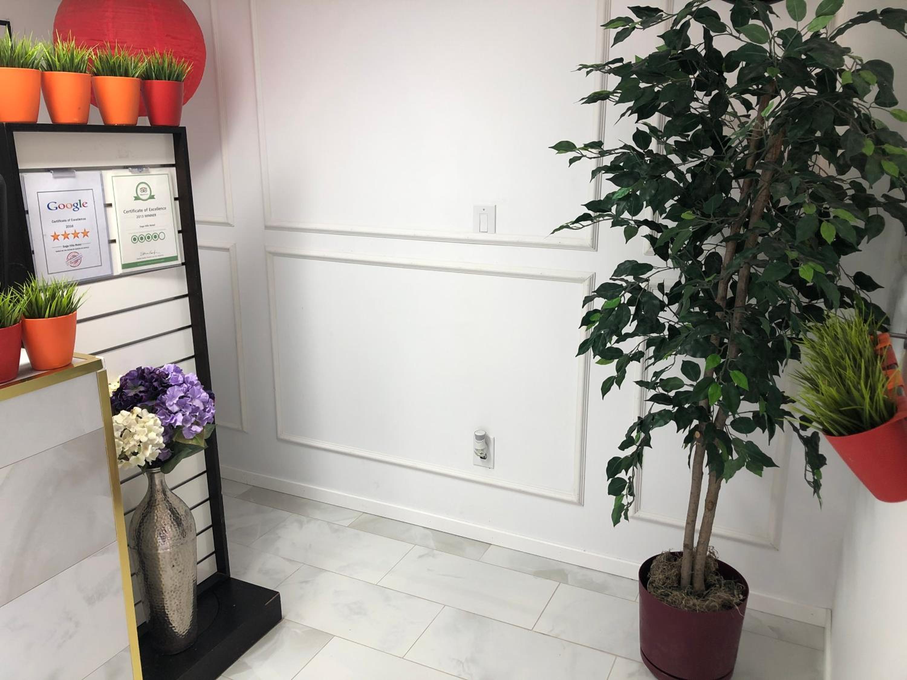recepcion & lobby