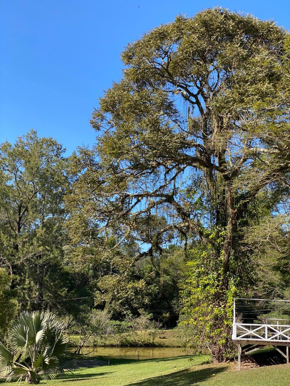 Park Hotel Mantiqueira