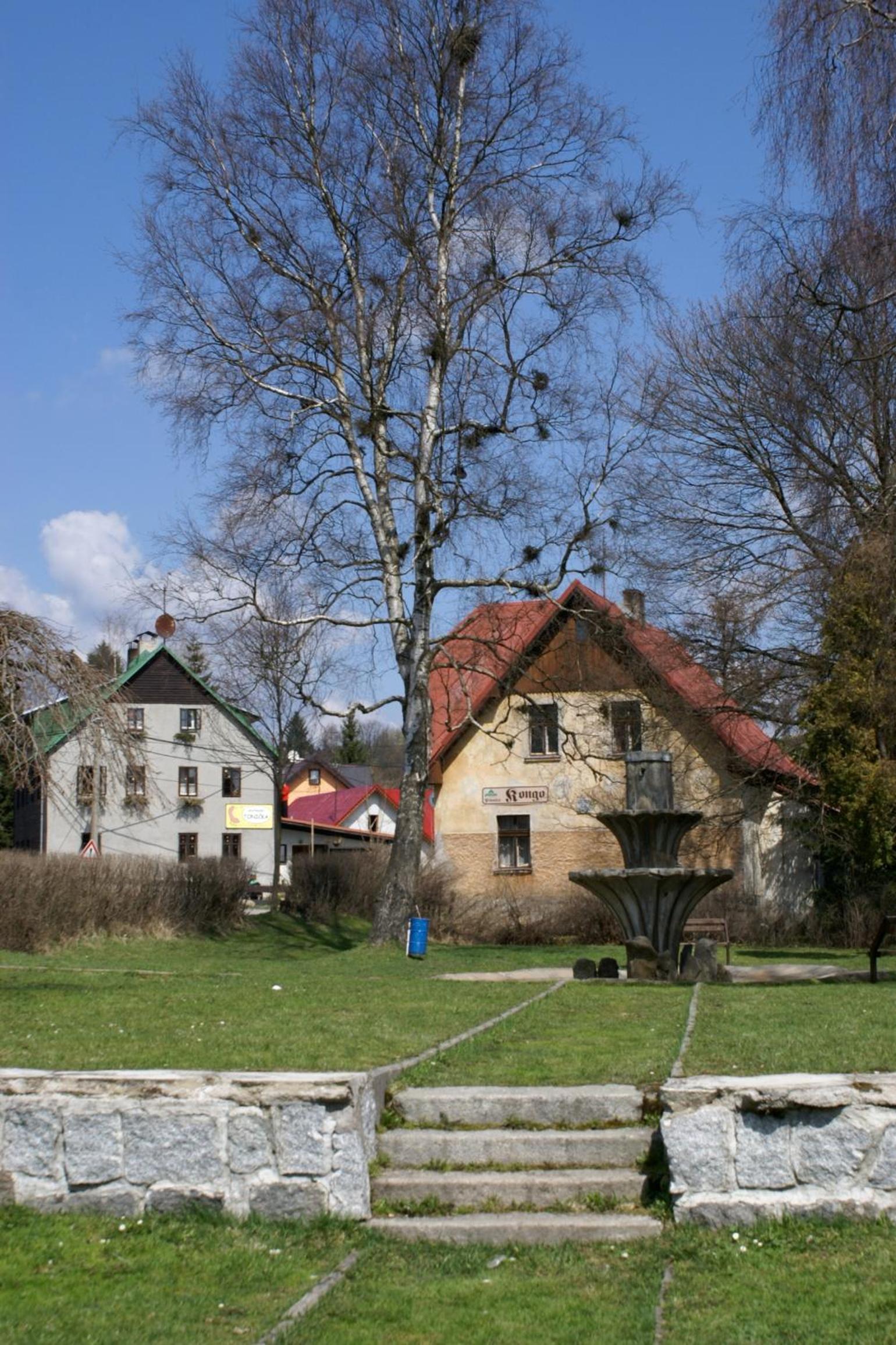 Photo 41