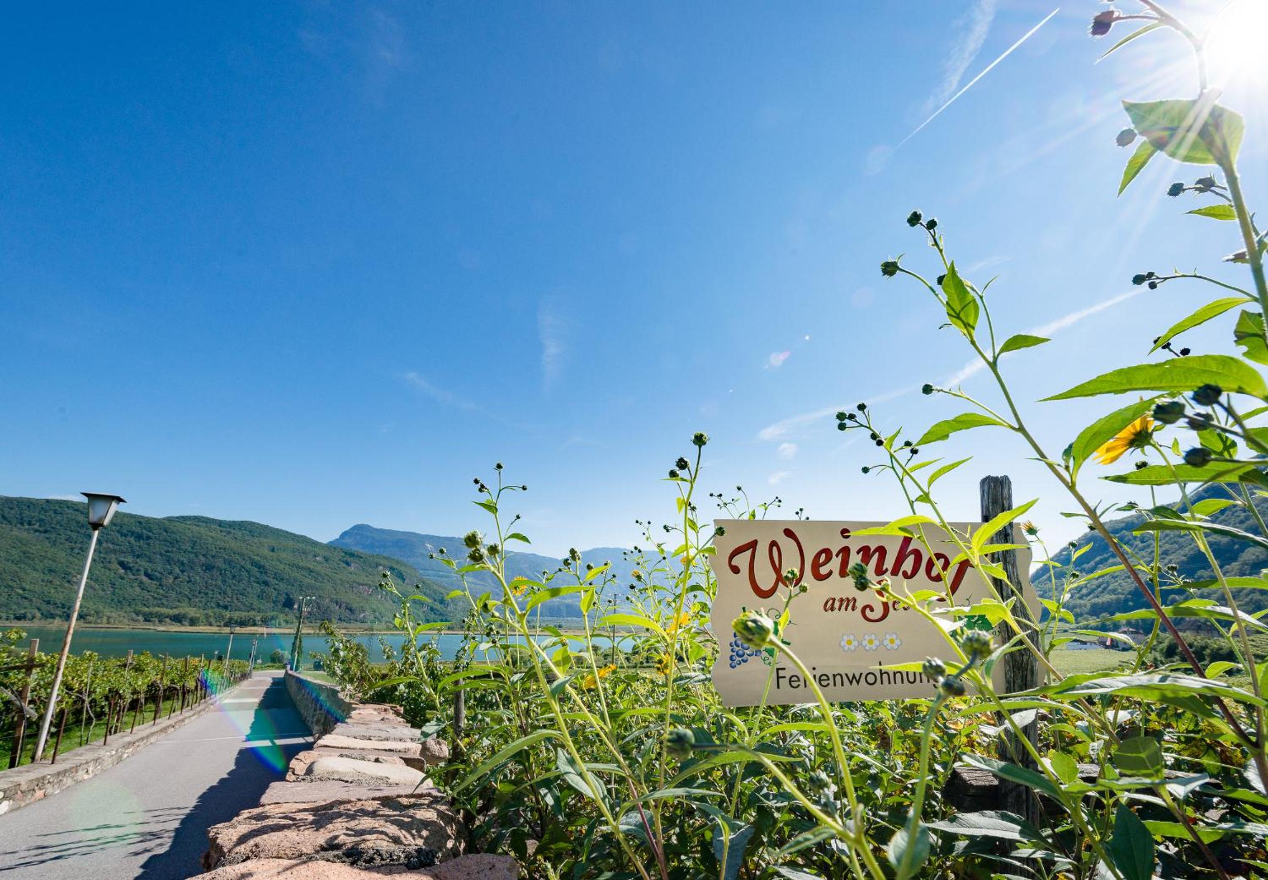 Weinhof am See view 4