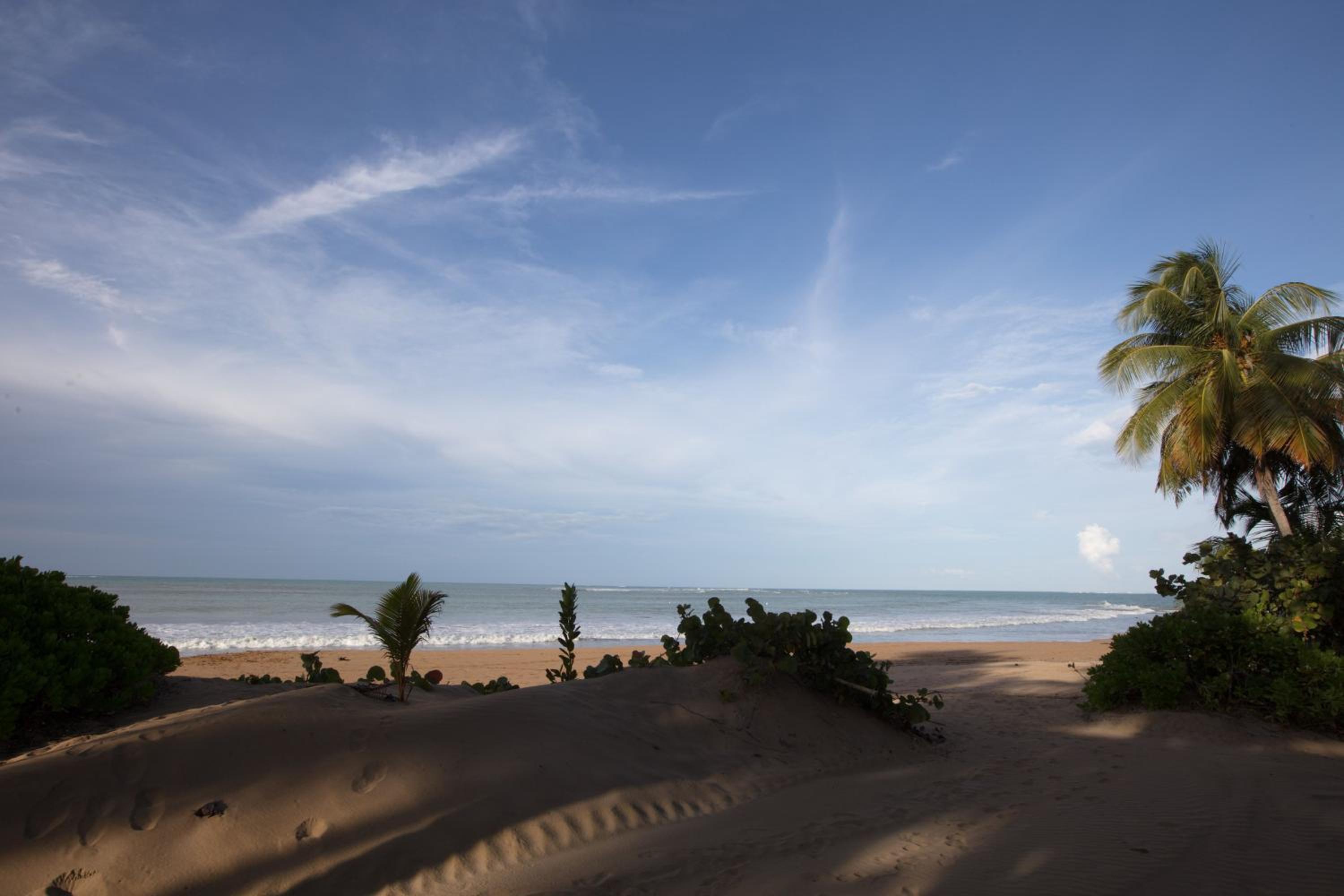Wyndham Grand Rio Mar Rainforest Beach and Golf Resort - Property Image 178