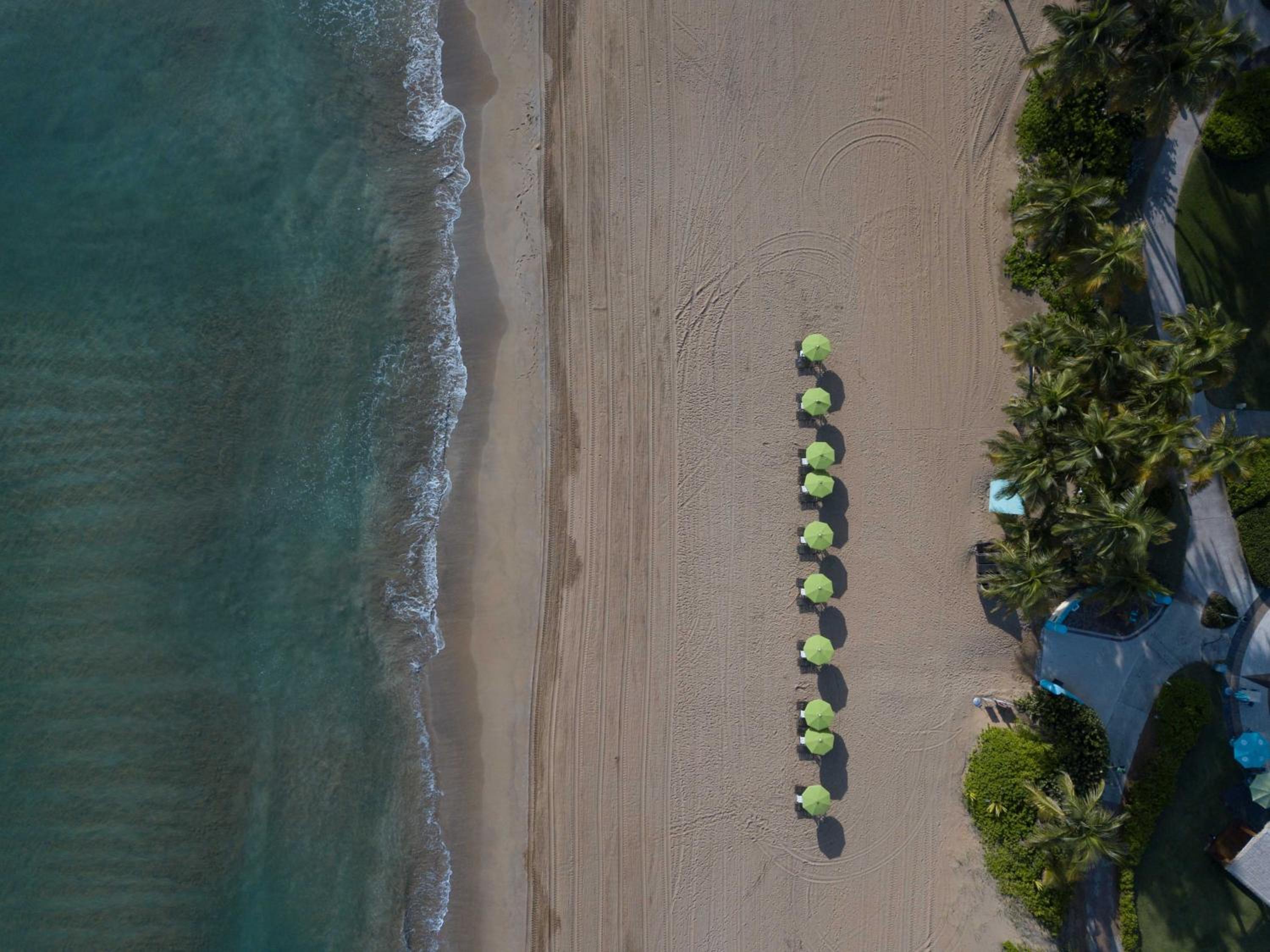 Wyndham Grand Rio Mar Rainforest Beach and Golf Resort - Property Image 179