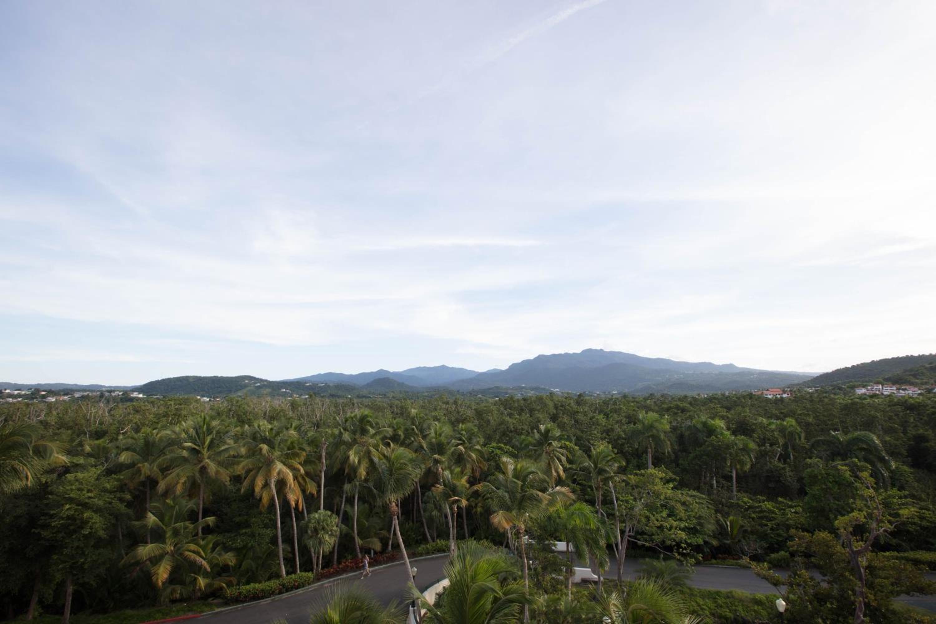 Wyndham Grand Rio Mar Rainforest Beach and Golf Resort - Property Image 180