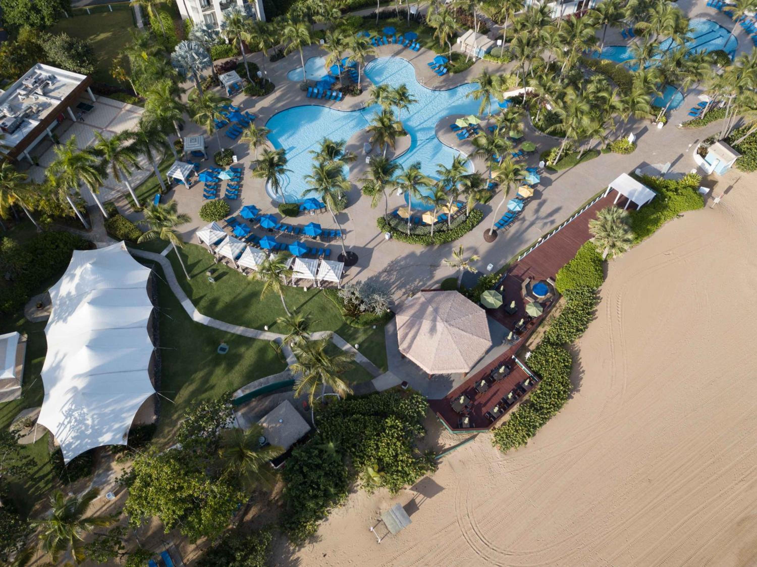 Wyndham Grand Rio Mar Rainforest Beach and Golf Resort - Property Image 181