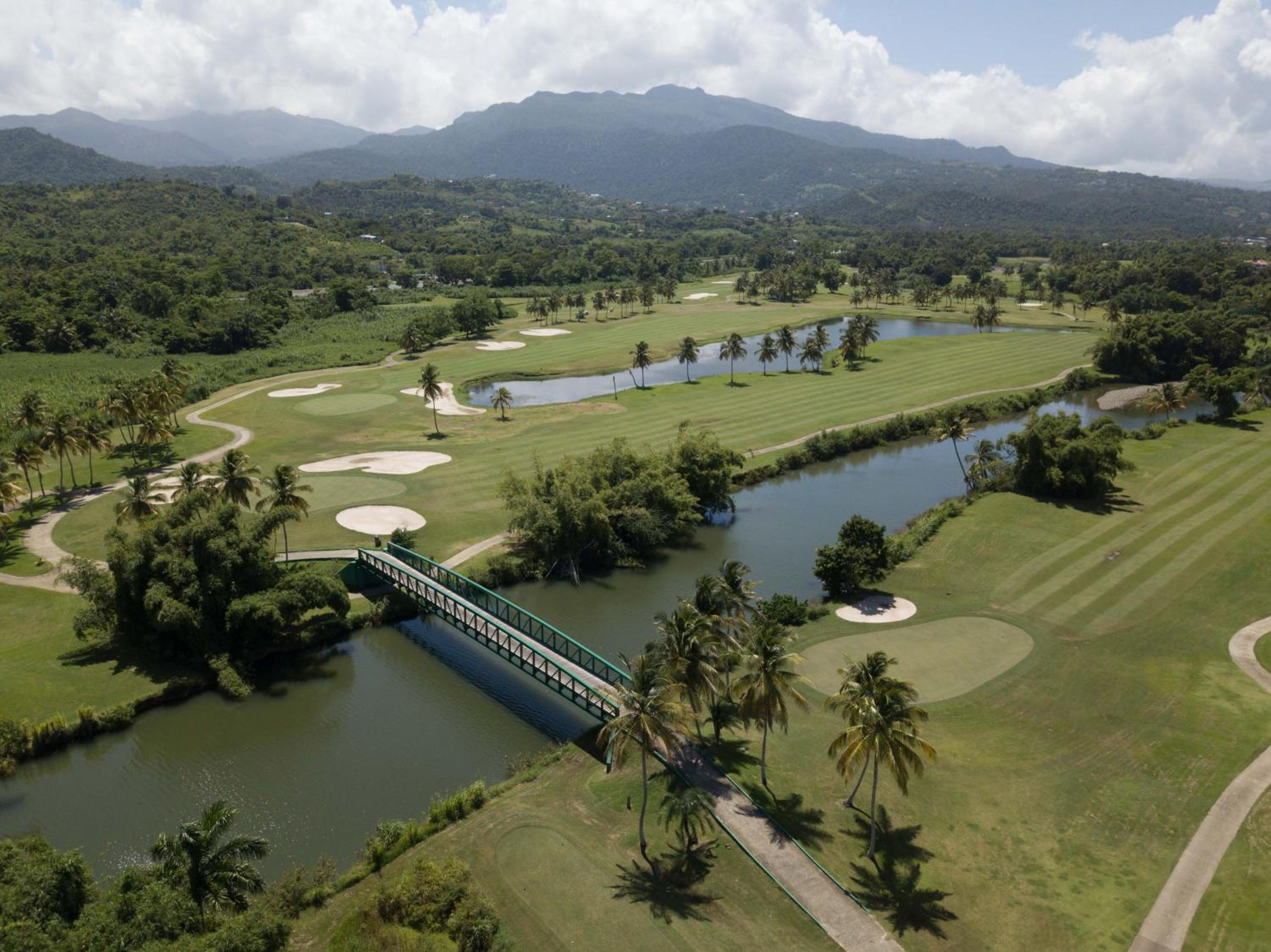 Wyndham Grand Rio Mar Rainforest Beach and Golf Resort - Property Image 184