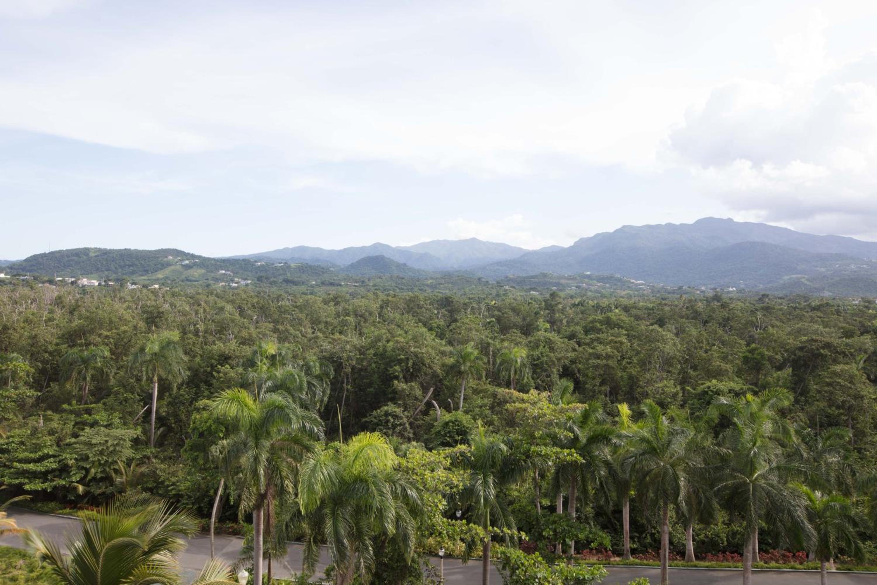 Wyndham Grand Rio Mar Rainforest Beach and Golf Resort - Property Image 81