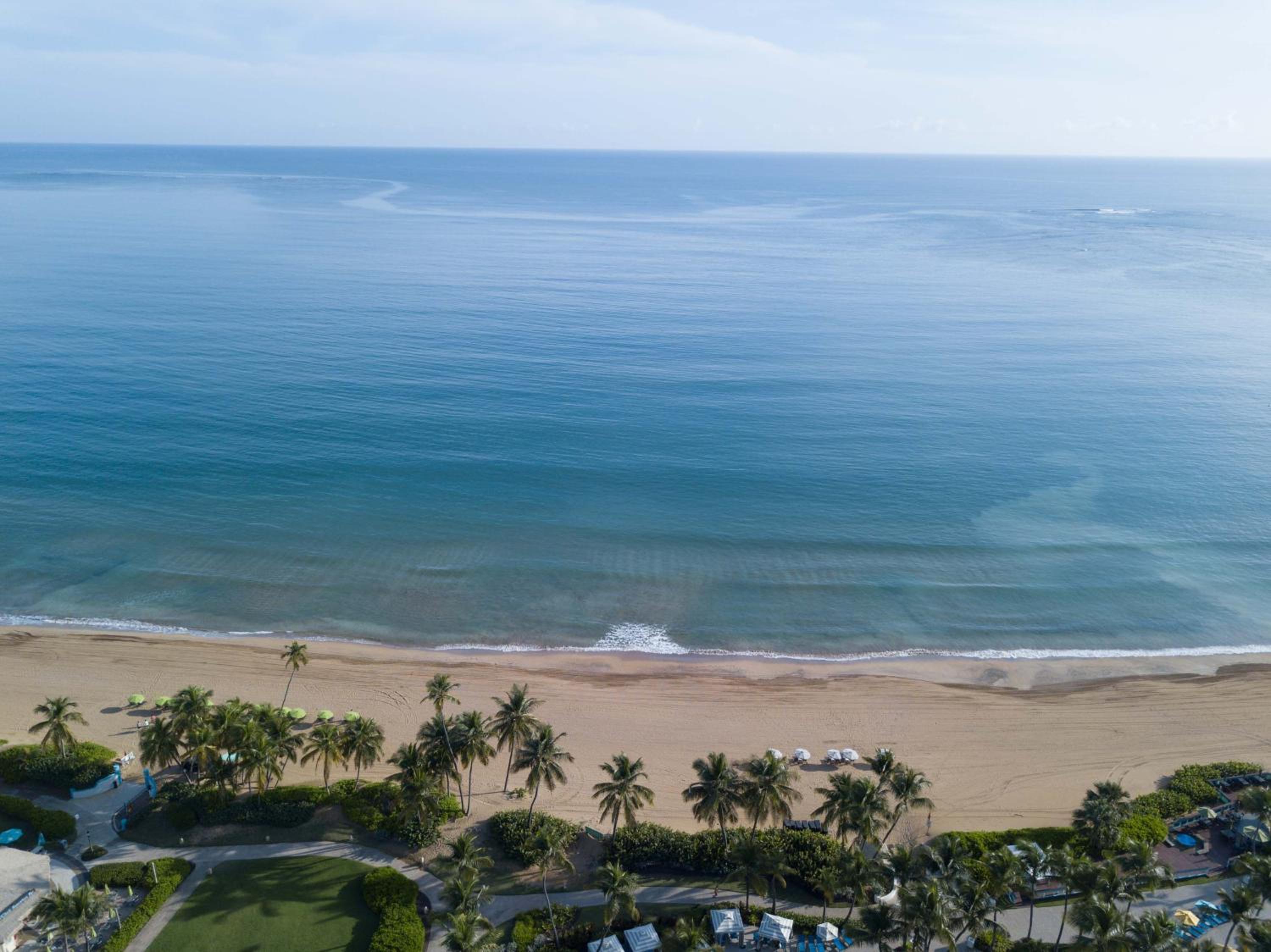 Wyndham Grand Rio Mar Rainforest Beach and Golf Resort - Property Image 95