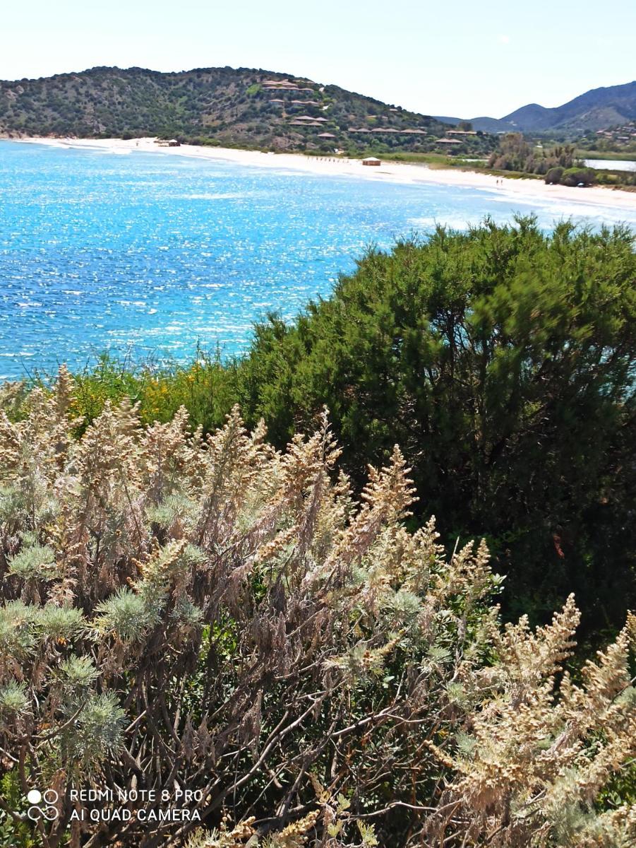 ALBELDI' photo 5