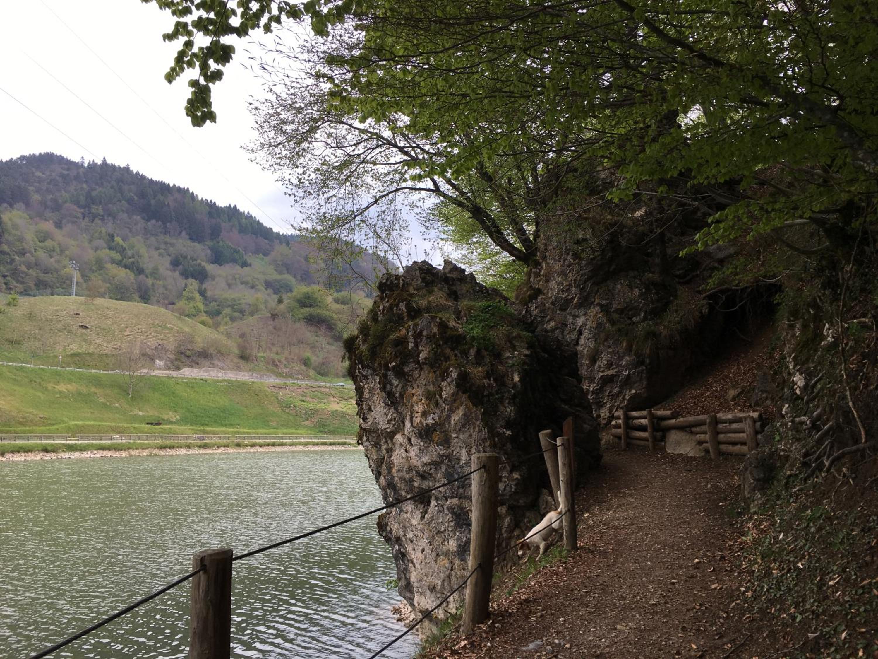 Photo 25