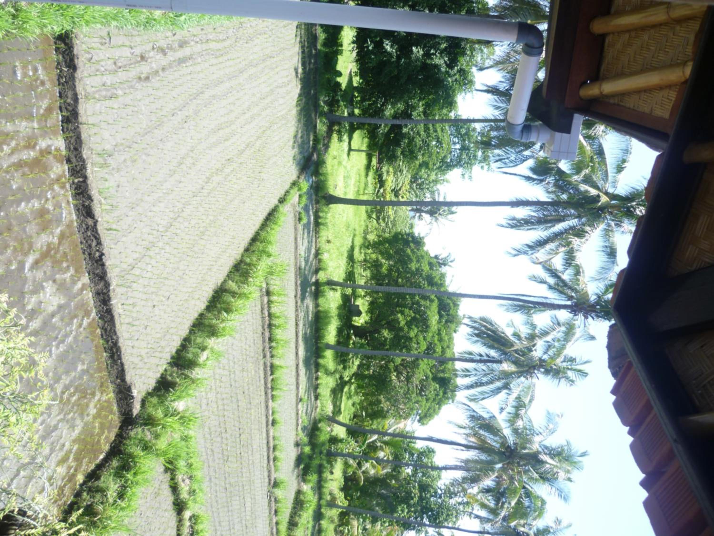 Kangkung Cottages