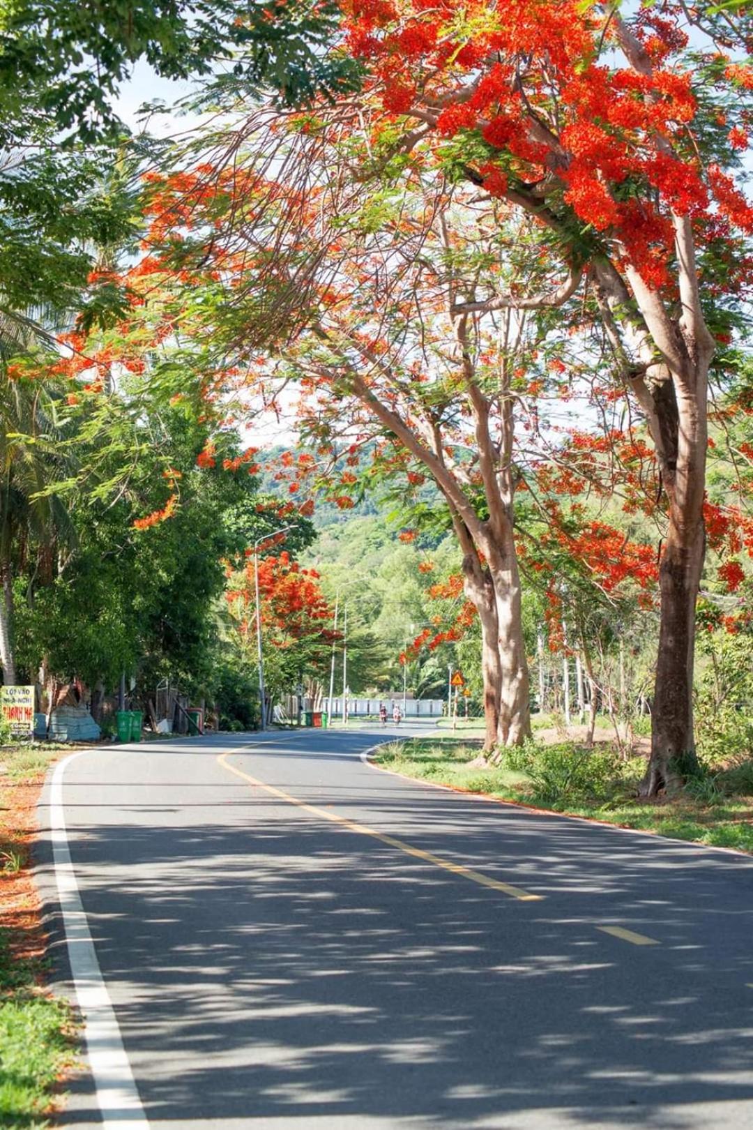 Homstay Thanh Sơn view 5