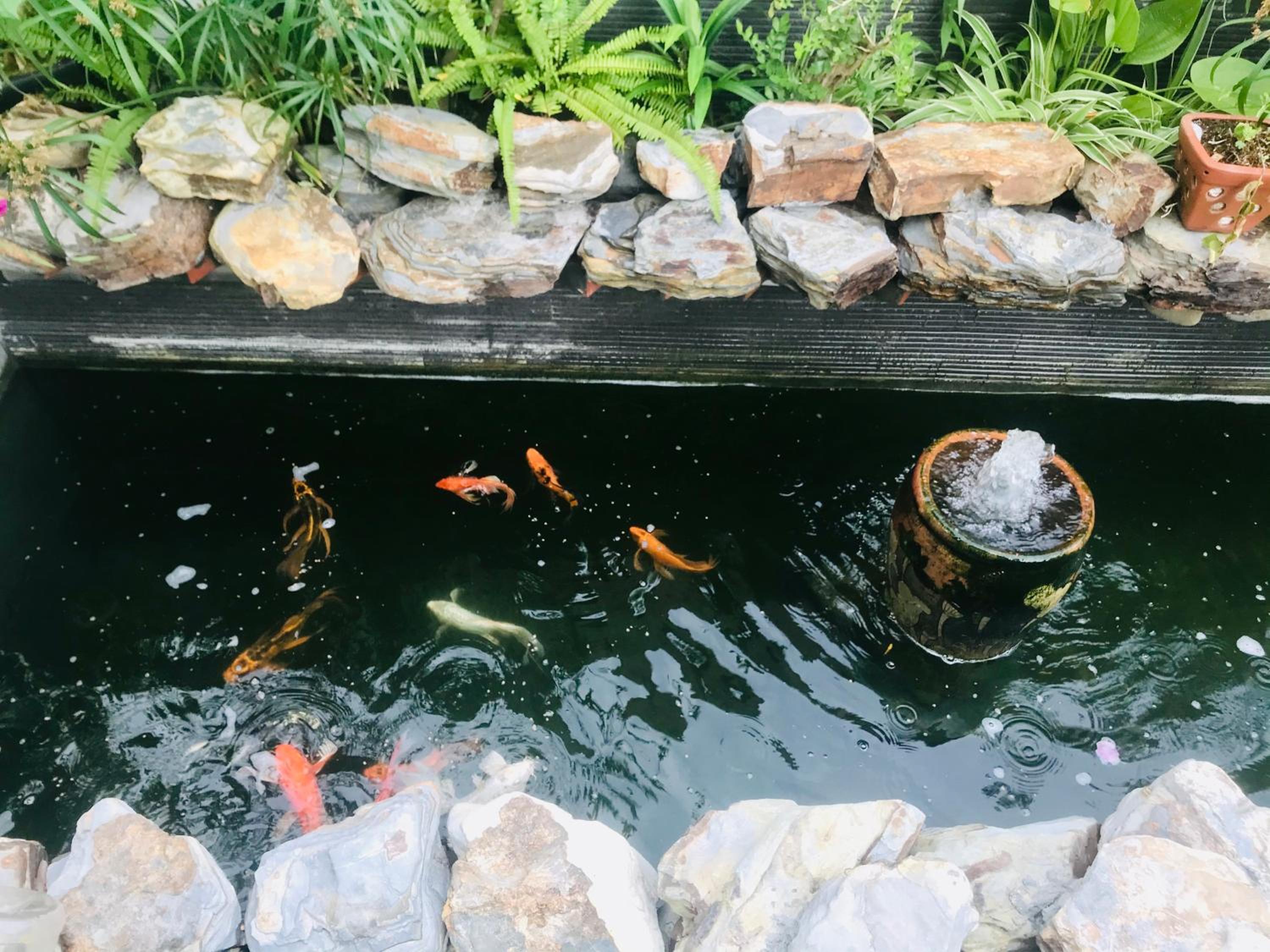 Coto Center Homestay, photo 165