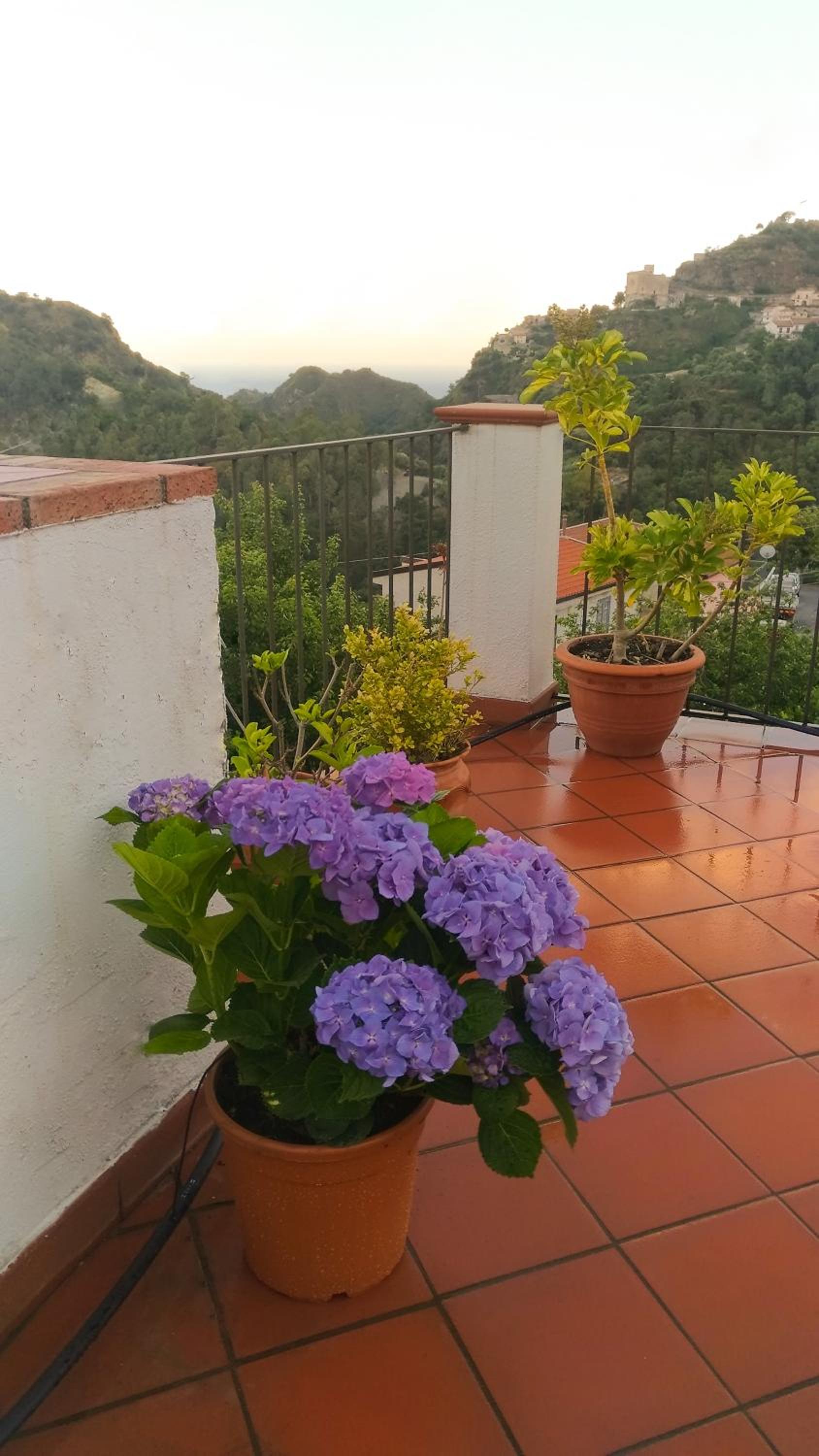 Villa Sarino photo 3