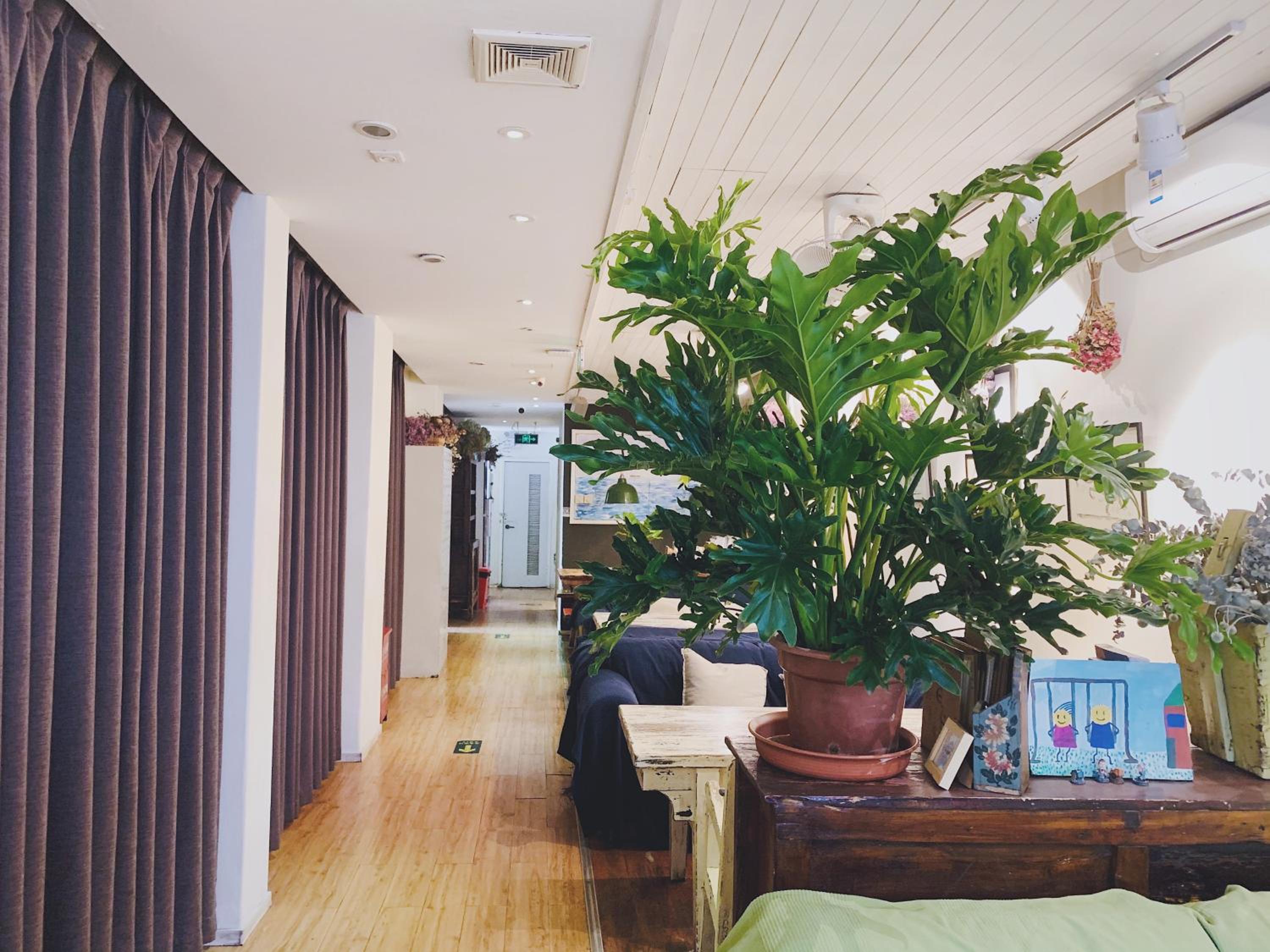 Peking Garden Youth Hostel-Houhai&Nanluoguxiang&Drum tower-Cafe&Bar&Movie night&Social area&Rooftop