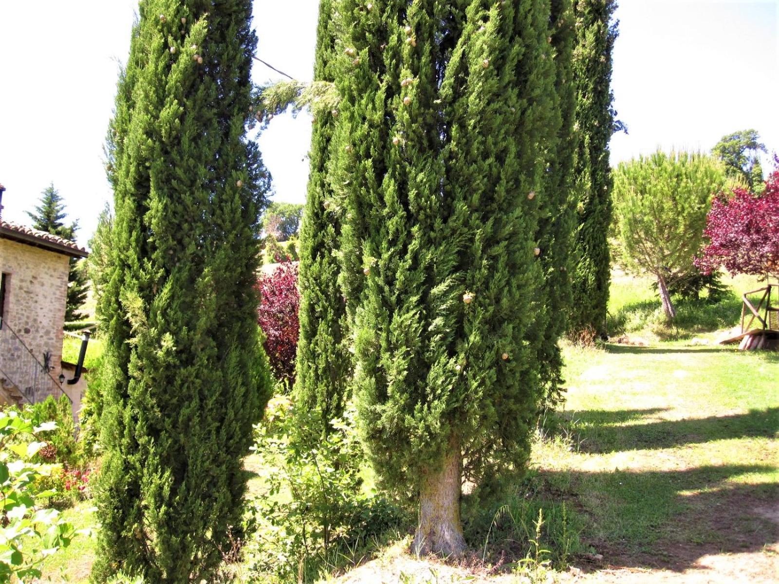 La Pietra Rara B&B