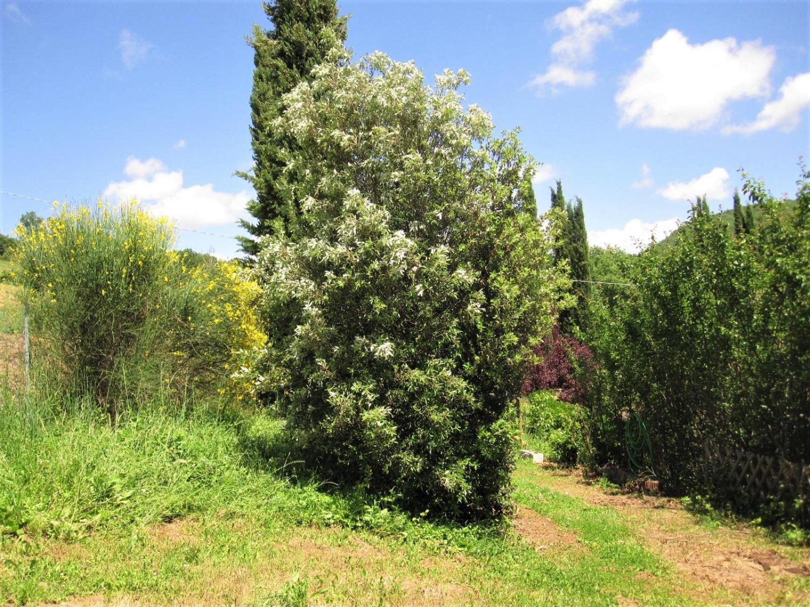 La Pietra Rara B&B