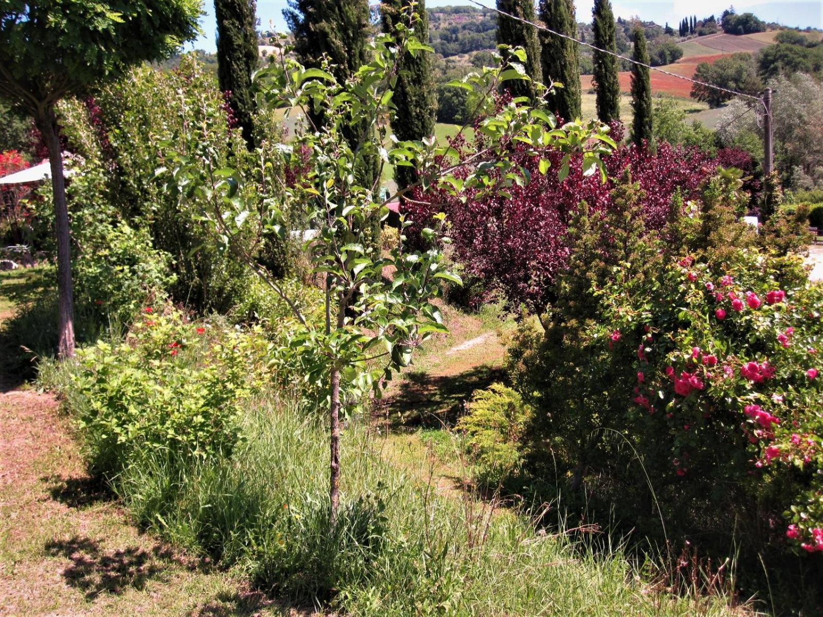 La Pietra Rara B&B