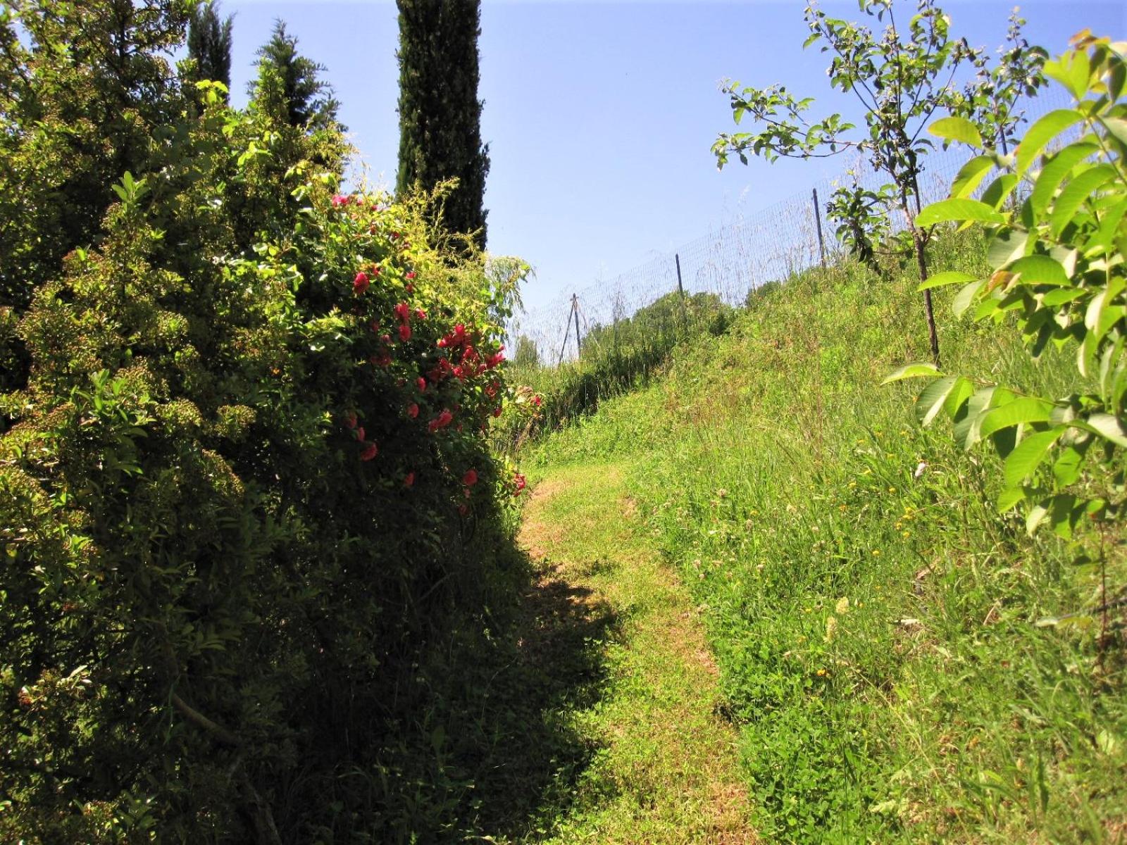 La Pietra Rara B&B