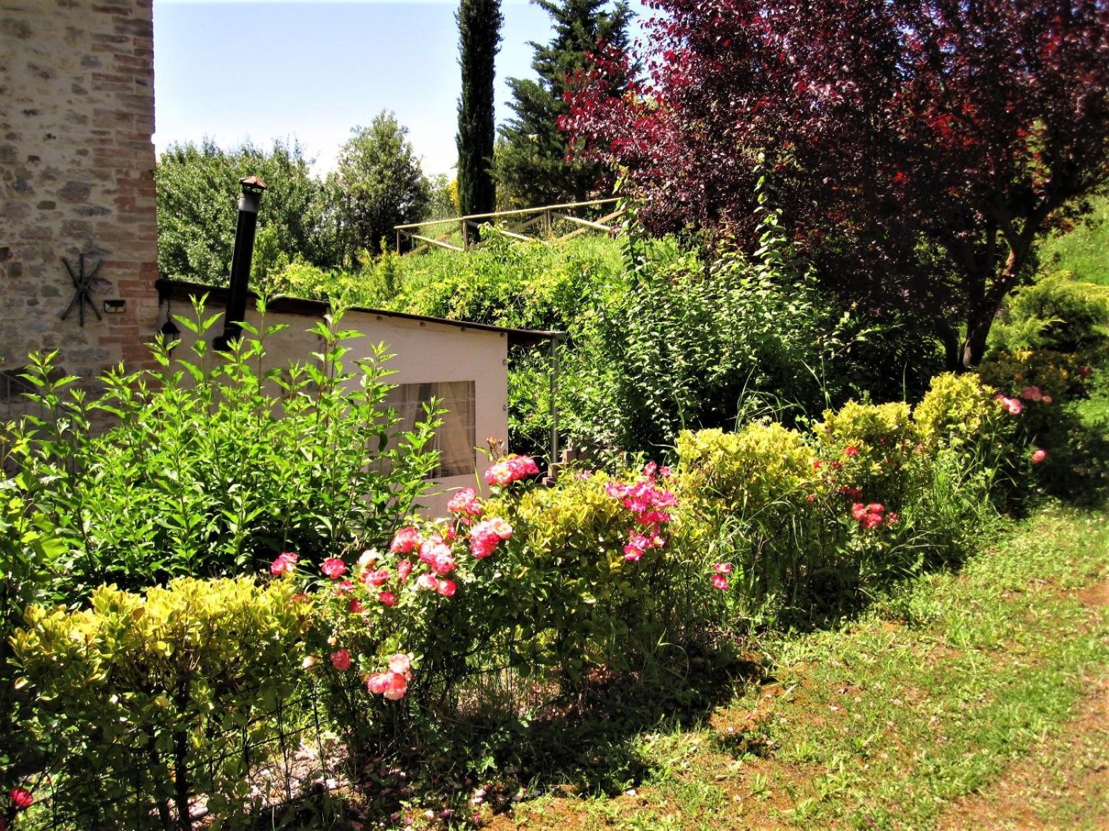 La Pietra Rara B&B
