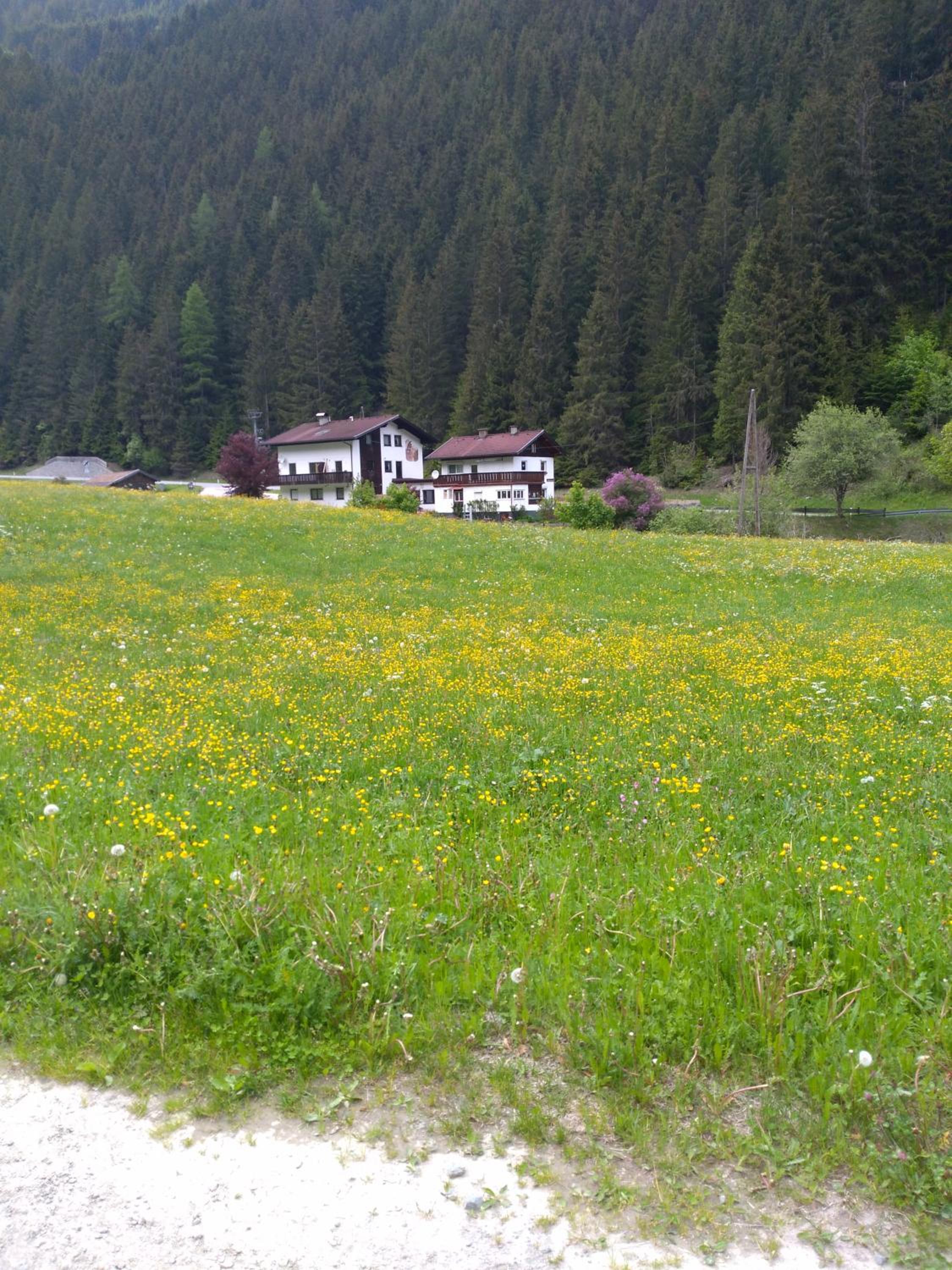 Adlerhorst