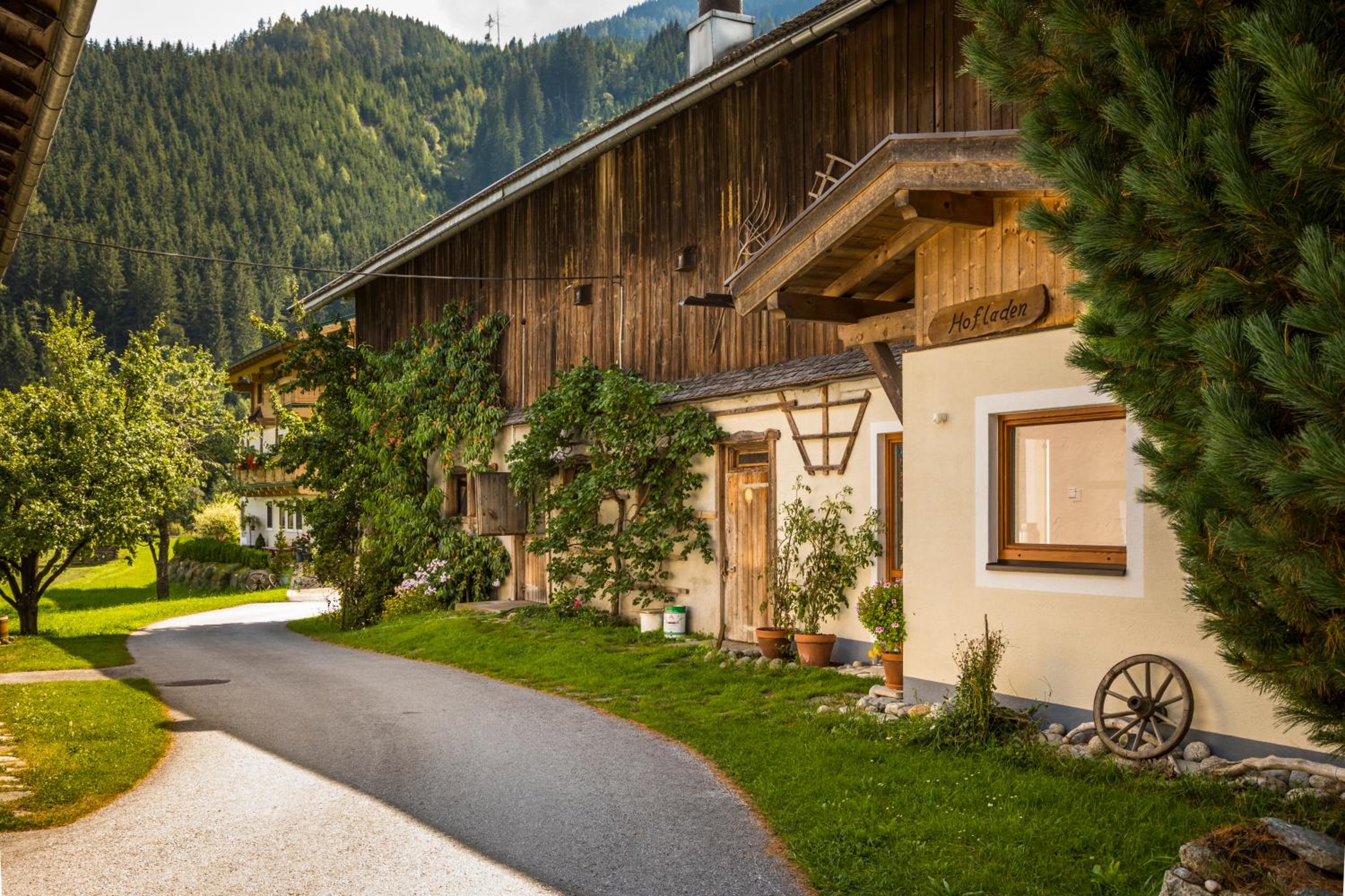 Bio-Bauernhof Obertrattenbachhof