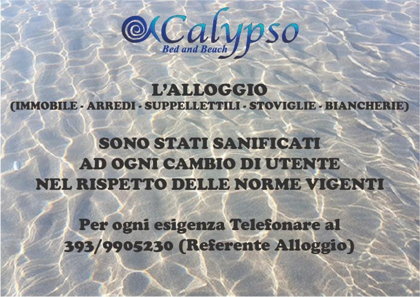 Calypso Bed and Beach photo 5