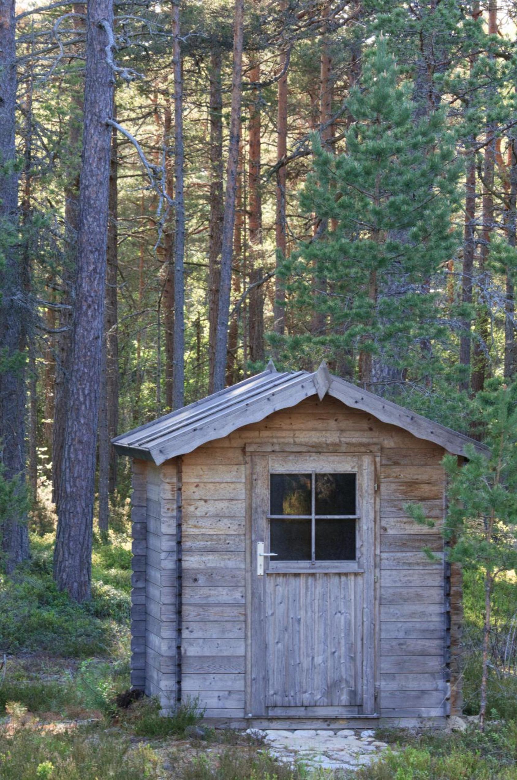 Roostasalu Holiday home
