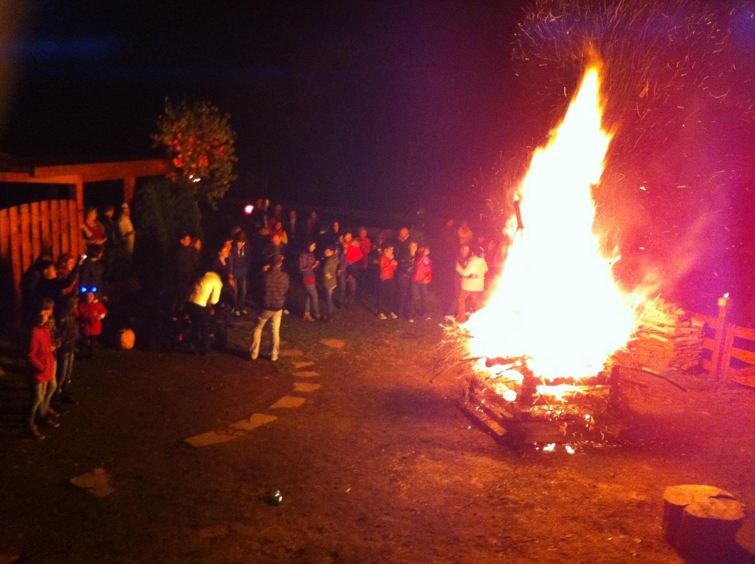 Photo 20