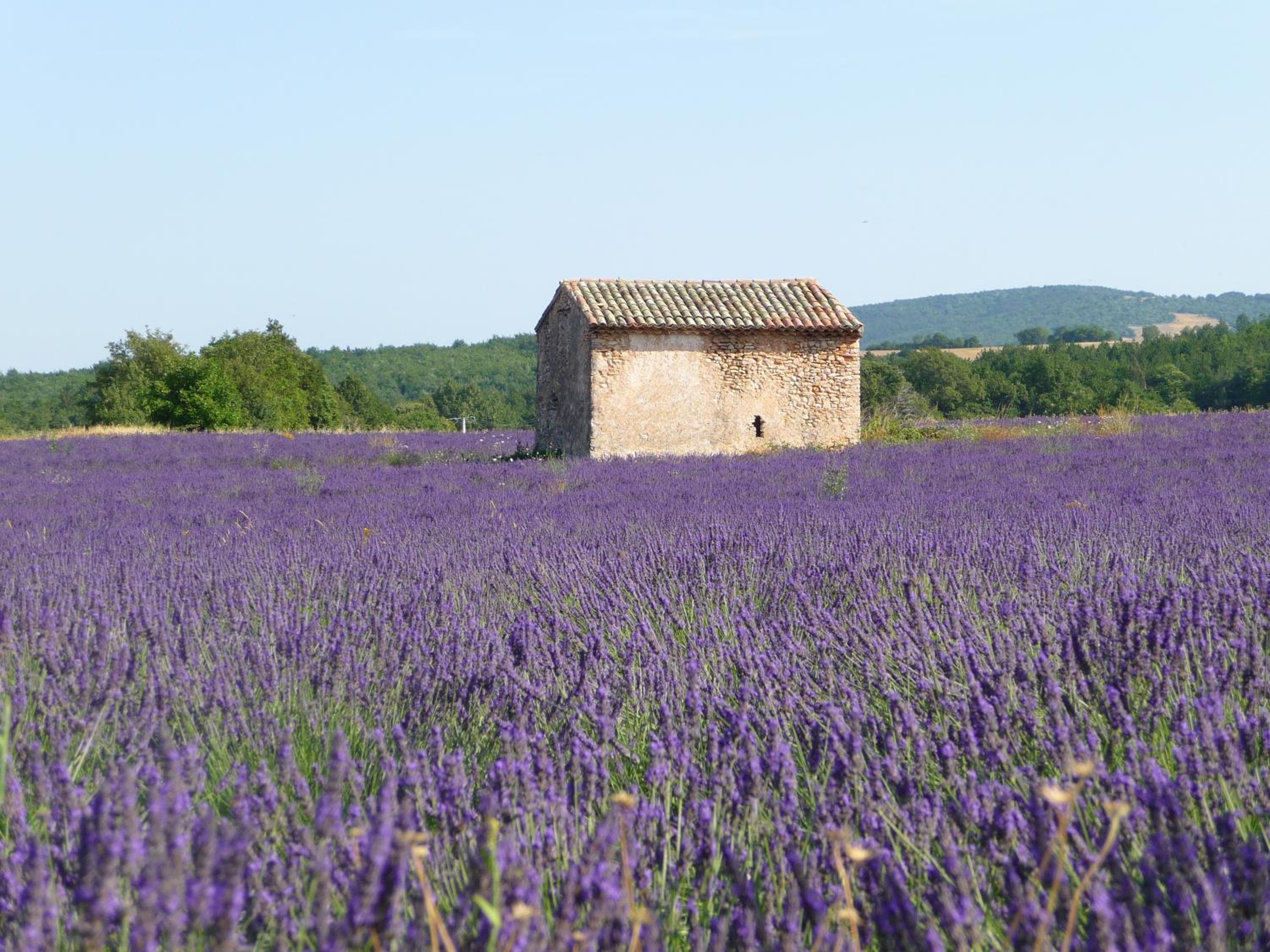 Résidence Les Peupliers