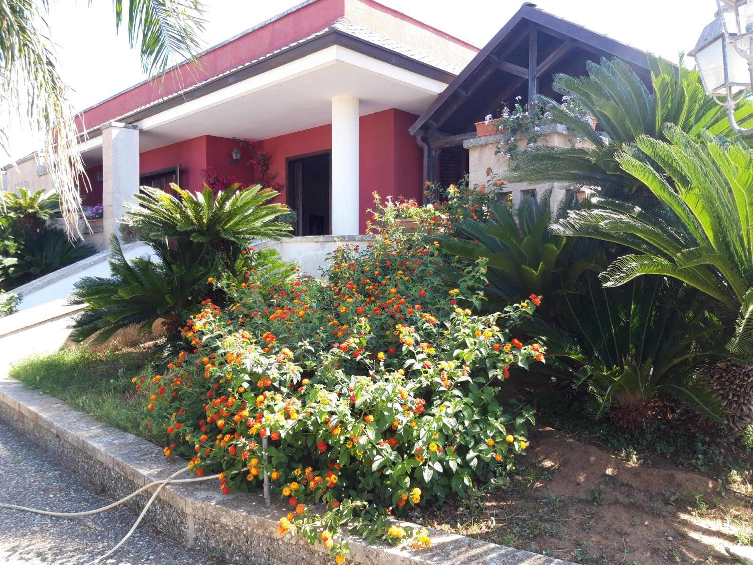 Villa nel cuore del Salento view 5
