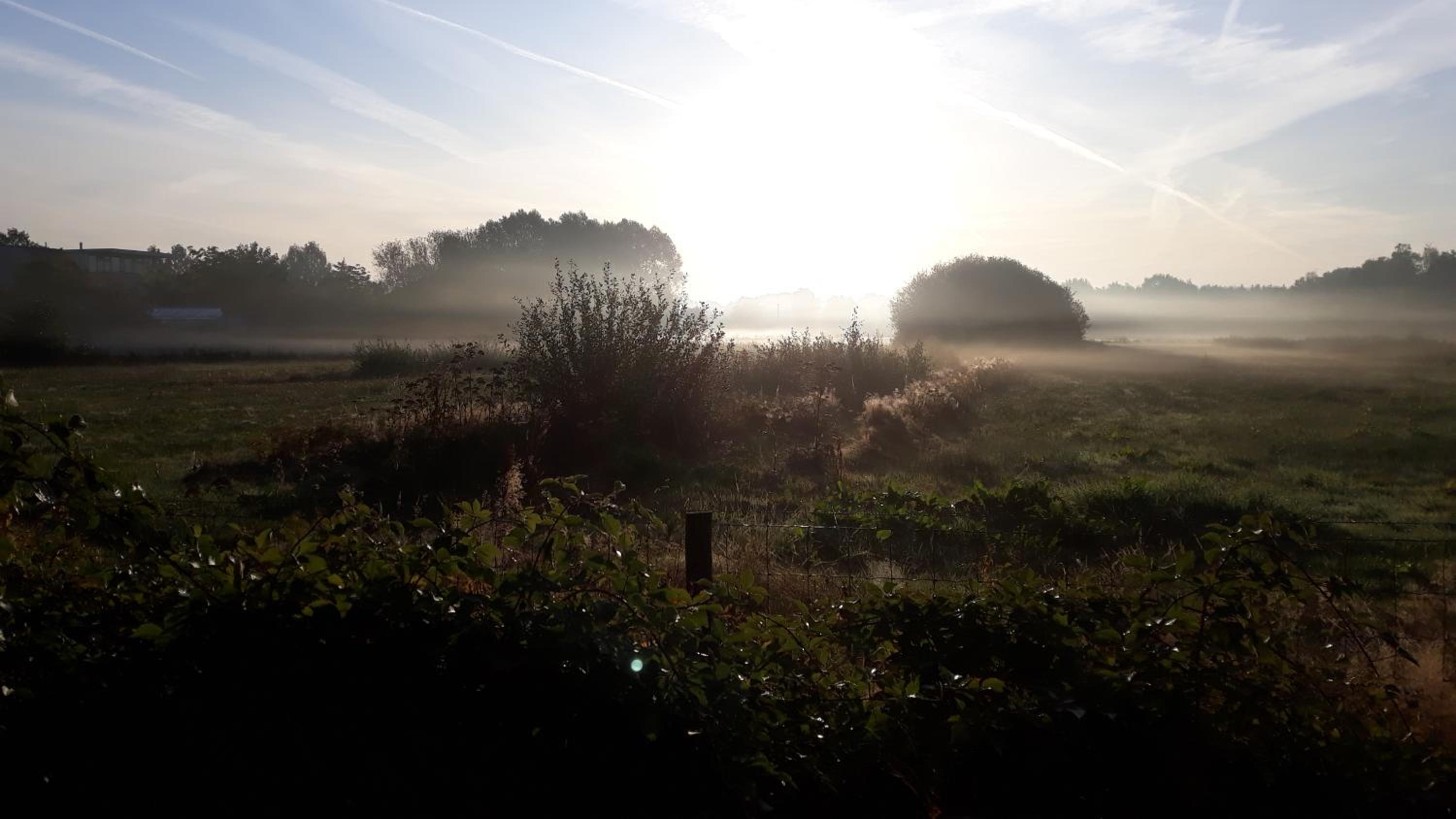 De Heidestroper