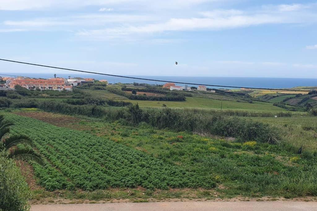 Mia's House view 5