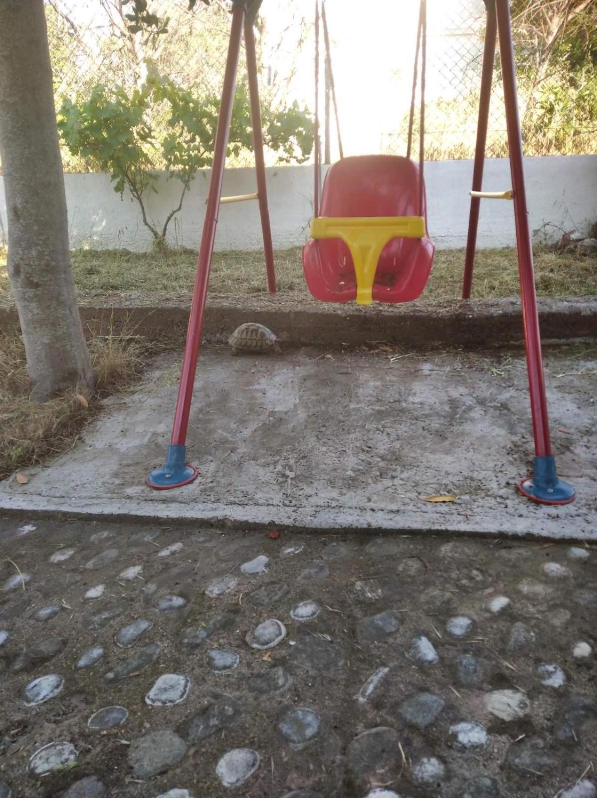 Photo 40