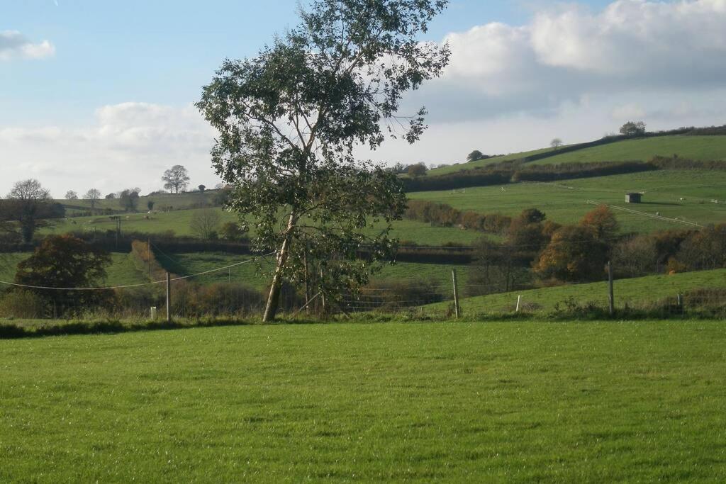 Swift Cottage