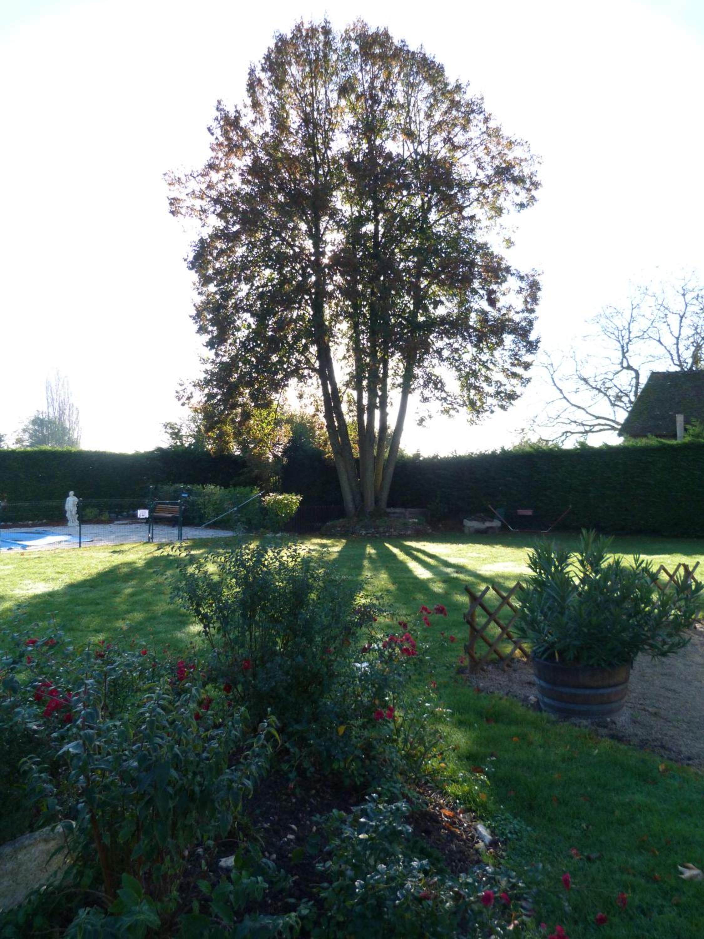 Photo 49