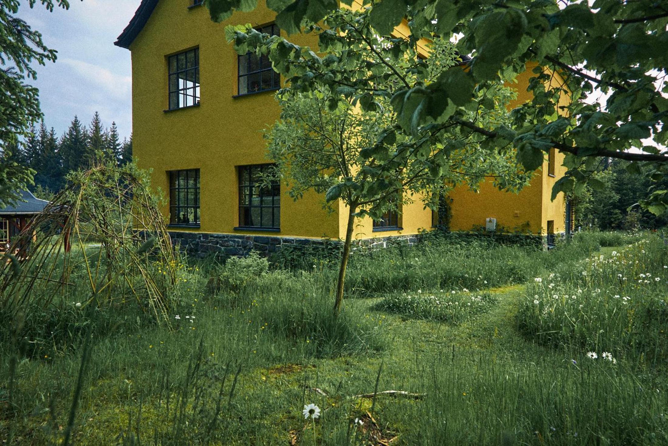 Photo 40